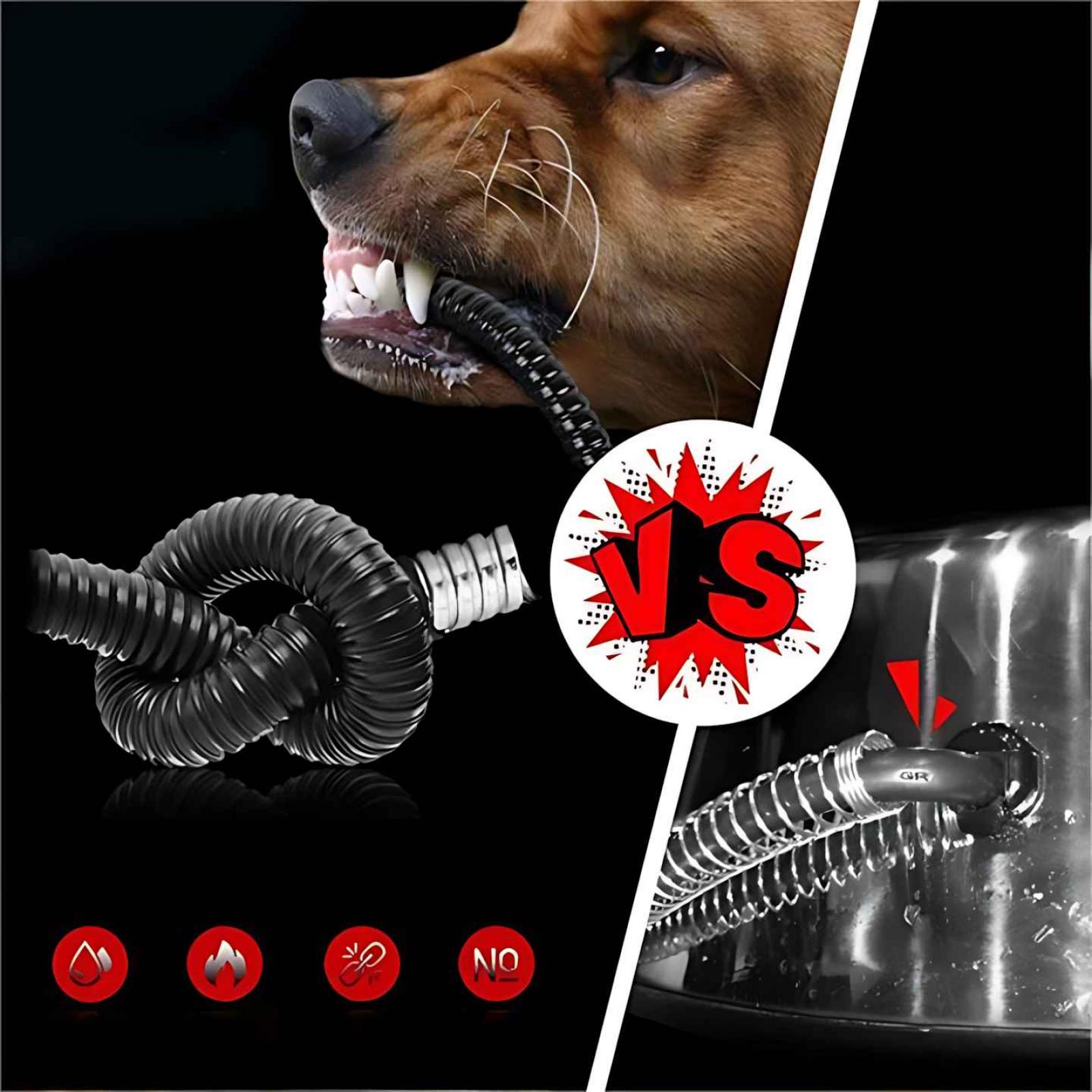 Hund beißt in einen schwarzen Schlauch. Das Bild zeigt einen Knoten im Schlauch und eine Wasserschüssel. In der Mitte befindet sich ein "VS"-Zeichen.