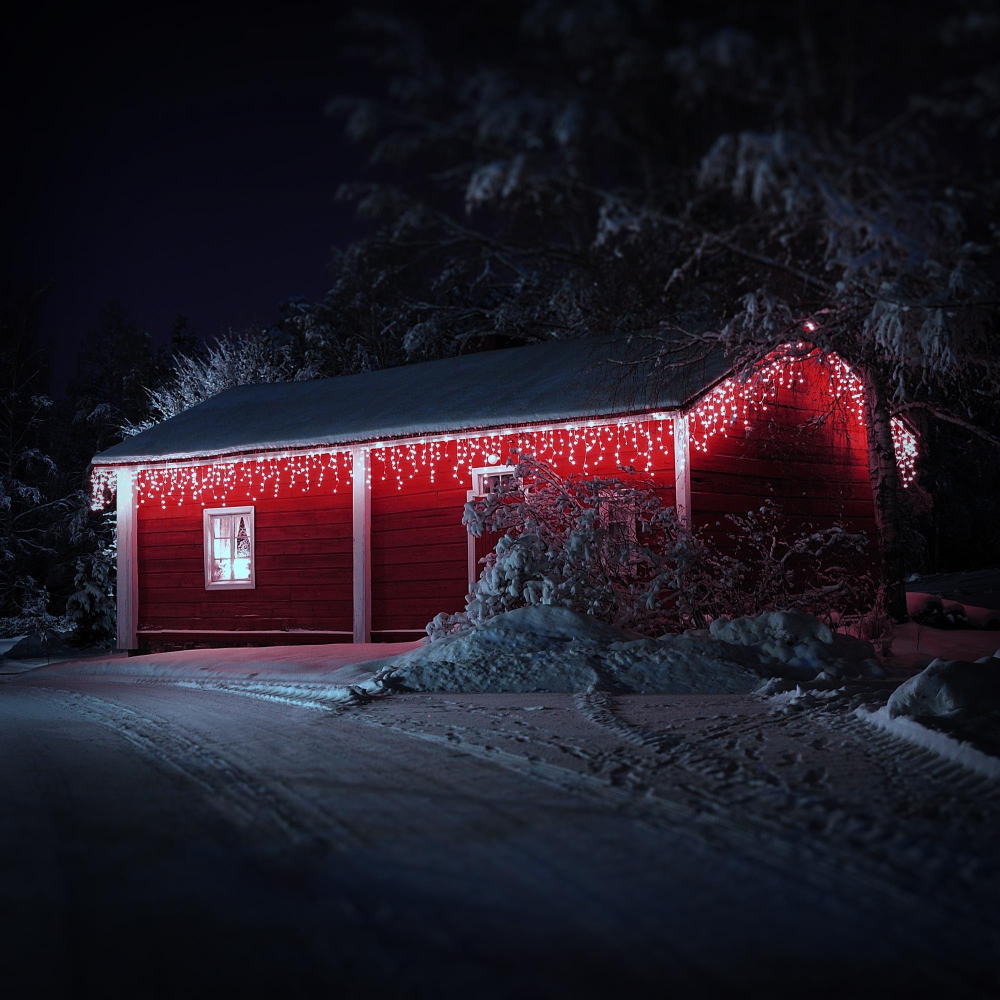 Eine rote Hütte mit Weihnachtsbeleuchtung in einem verschneiten Wald bei Nacht. Schnee bedeckt Boden und Bäume.