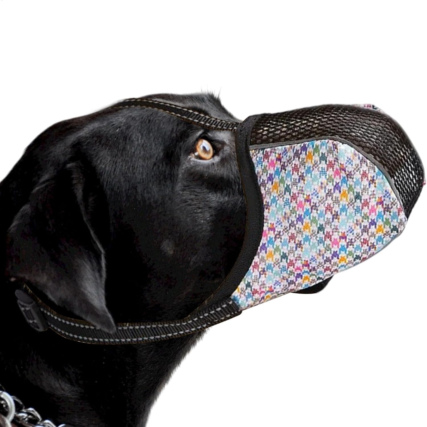 Ein schwarzer Hund mit einem gemusterten Maulkorb. Der Maulkorb hat ein Hahnentrittmuster in mehreren Farben. Der Hund trägt ein Halsband.