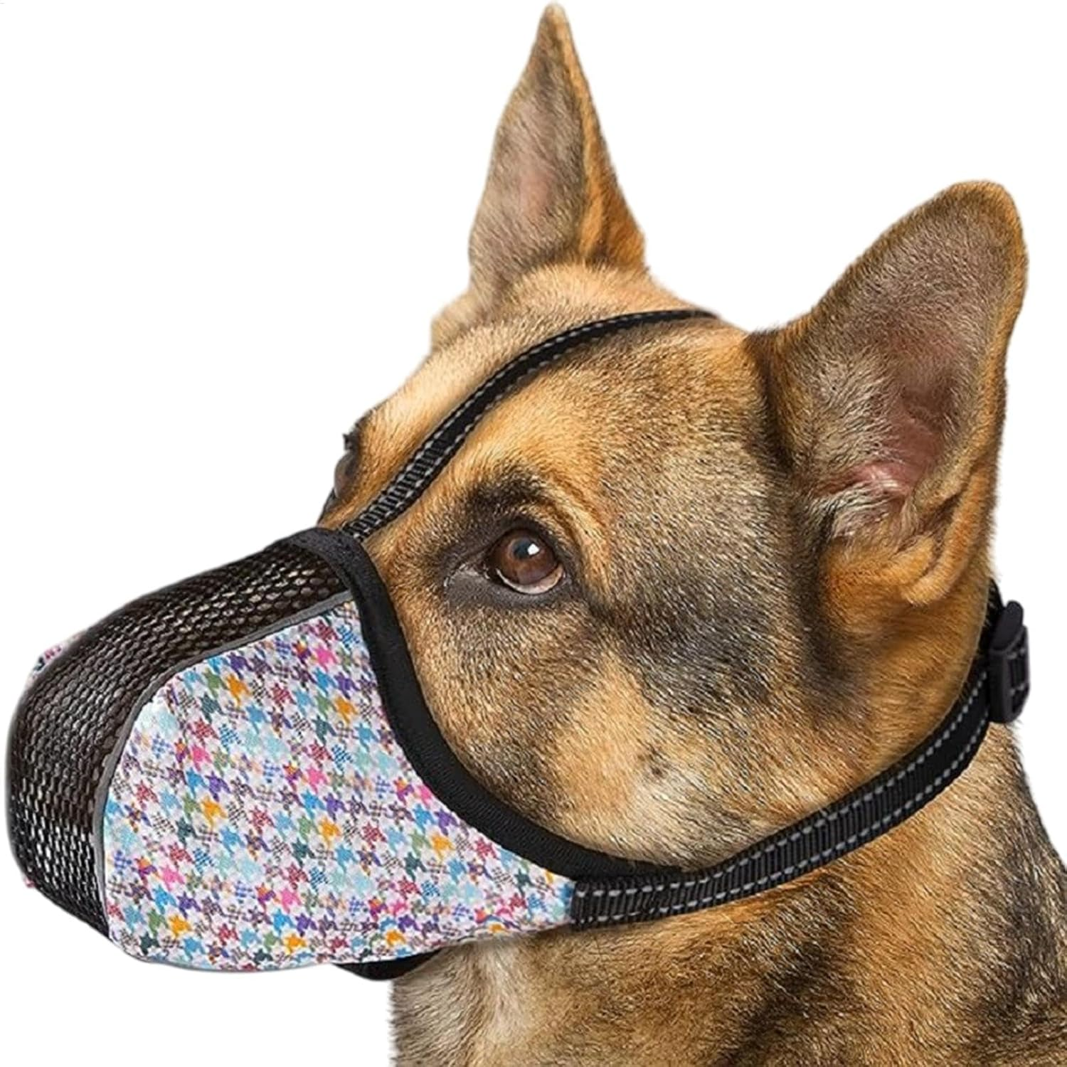 Ein Deutscher Schäferhund mit Maulkorb. Der Maulkorb hat ein schwarzes Netz und einen bunten Stoff. Der Hund blickt nach vorn.