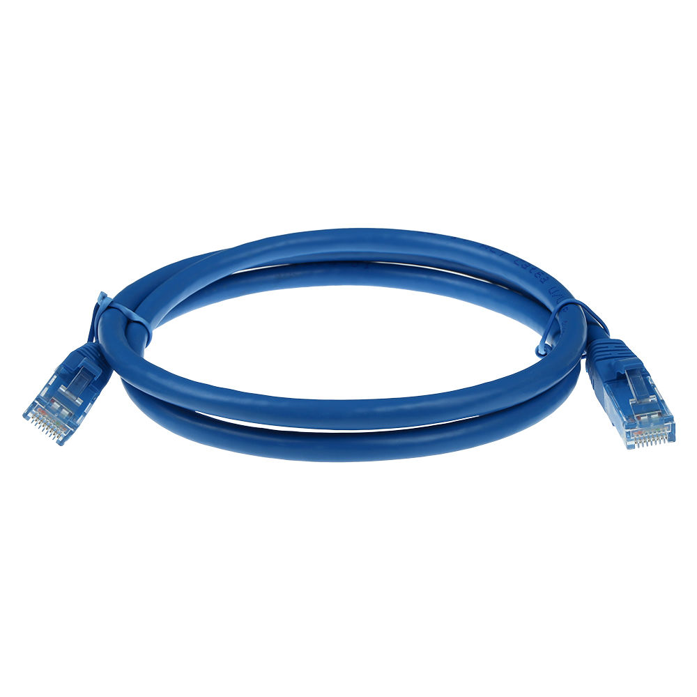Un câble Ethernet bleu, enroulé en cercle, avec des connecteurs aux deux extrémités. Connecteurs en plastique transparent visibles.
