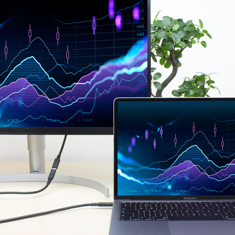 Een laptop en monitor tonen aandelenkoersen, met een kleine plant op de achtergrond. De grafieken zijn blauw en paars.