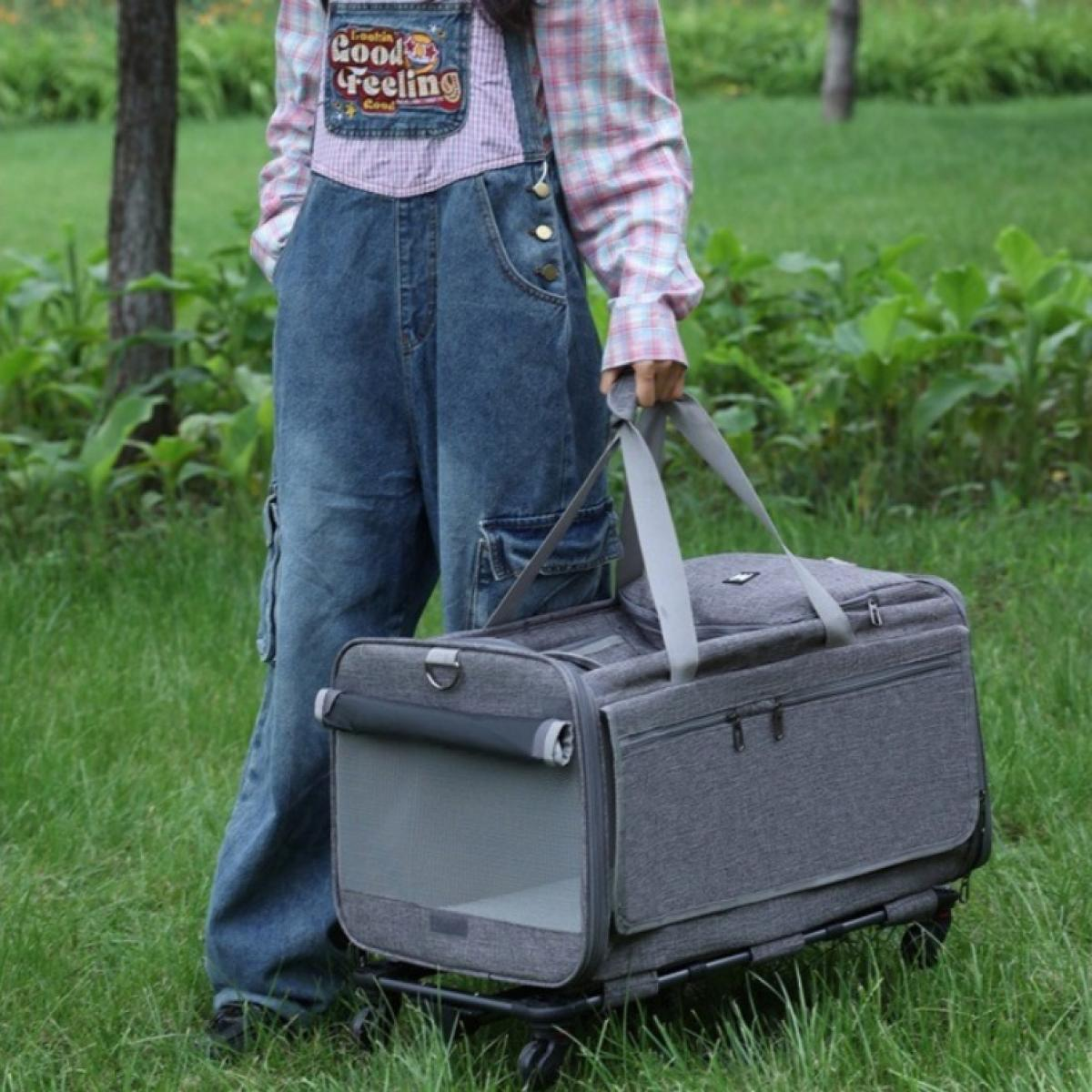 Eine Person in Jeans-Latzhose trägt einen grauen Tierkäfig mit Rädern auf Gras. Der Käfig hat ein Netzfenster.