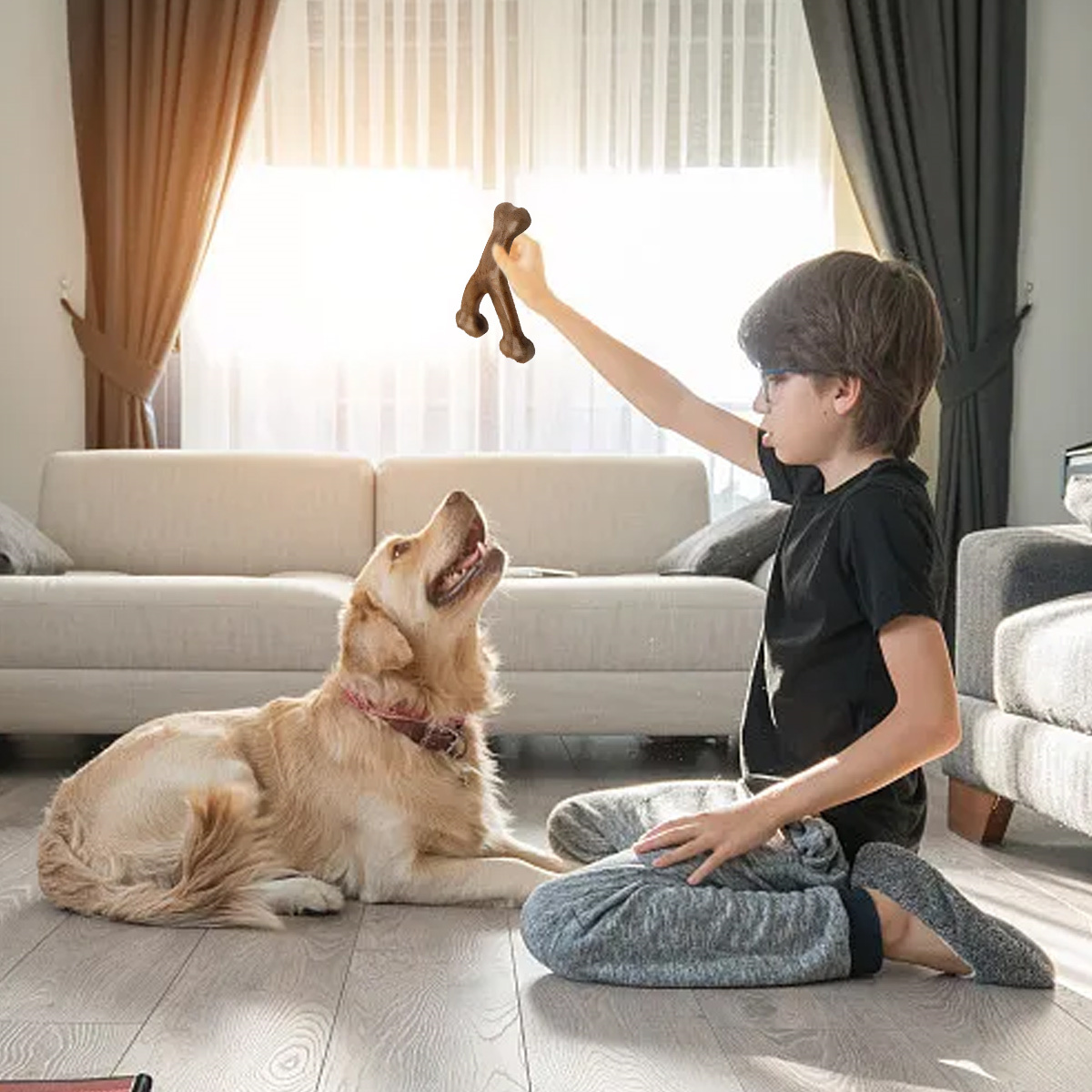 Ein Junge spielt mit einem goldenen Retriever und hält einen Knochen. Der Hund blickt nach oben. Im Hintergrund sind ein Sofa und ein Fenster.