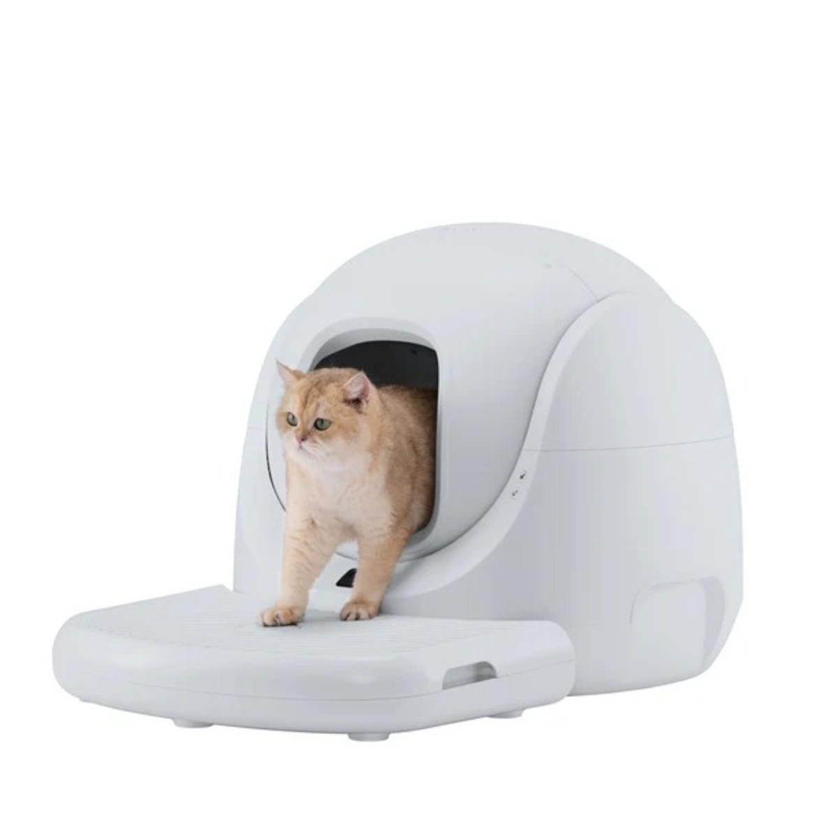 Een gouden kat verlaat een witte, automatische kattenbak. De kat stapt op een platform. De achtergrond is wit.