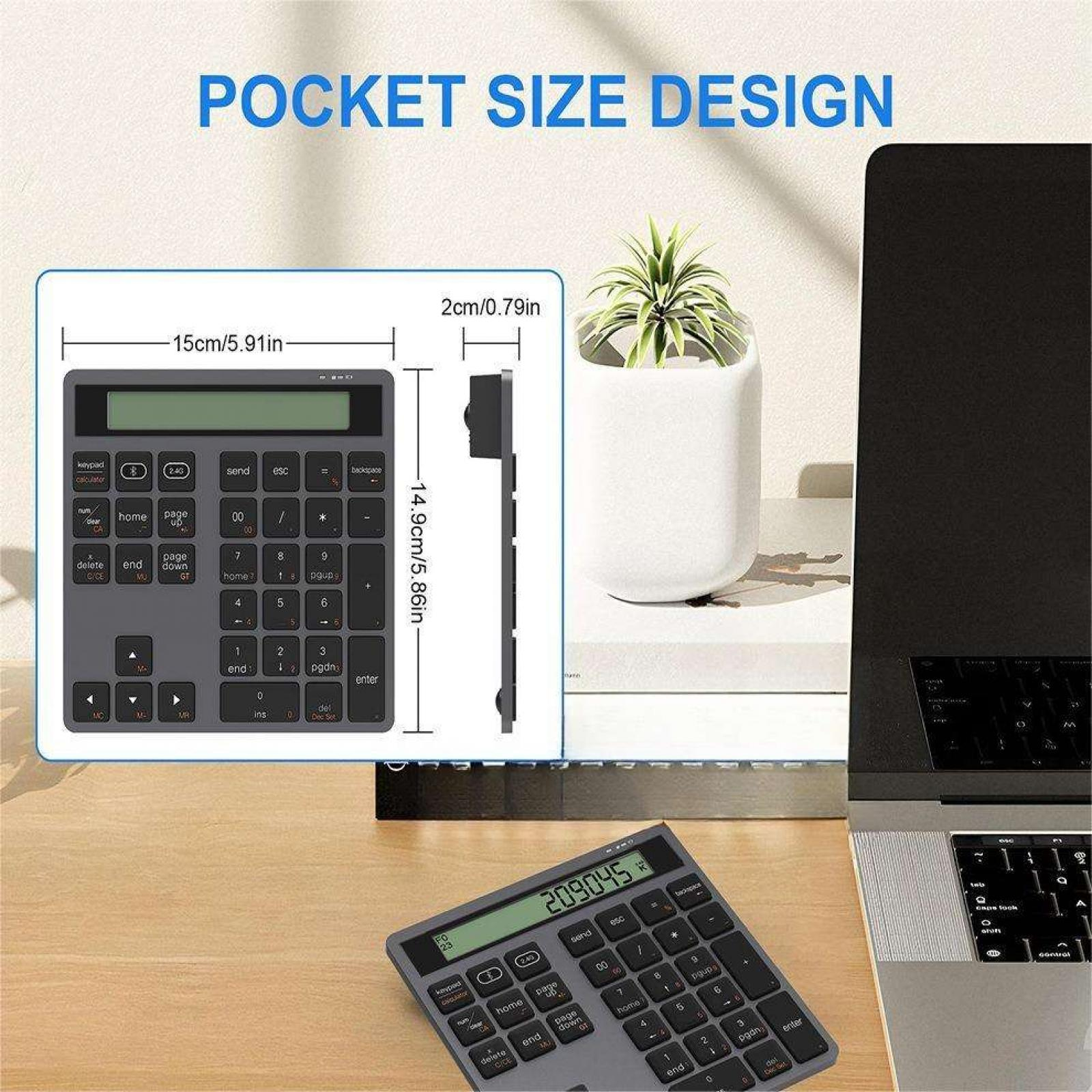 Das Bild zeigt eine taschengroße Tastatur mit einem Taschenrechner-Display, eine Topfpflanze und einen Laptop.