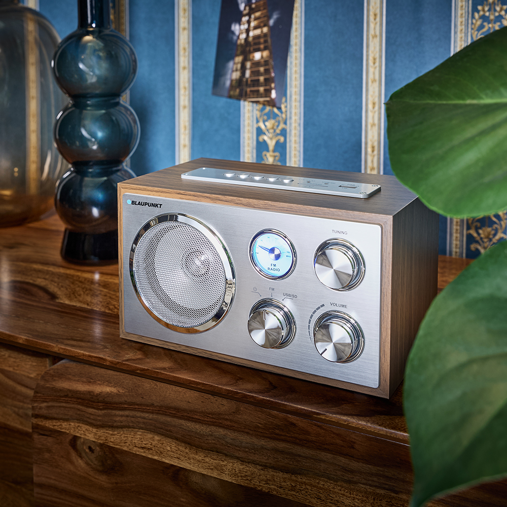 Ein hölzernes und silbernes Radio mit Knöpfen steht auf einer Holzoberfläche. Eine blaue Vase, ein Bild und ein grünes Blatt sind im Hintergrund.