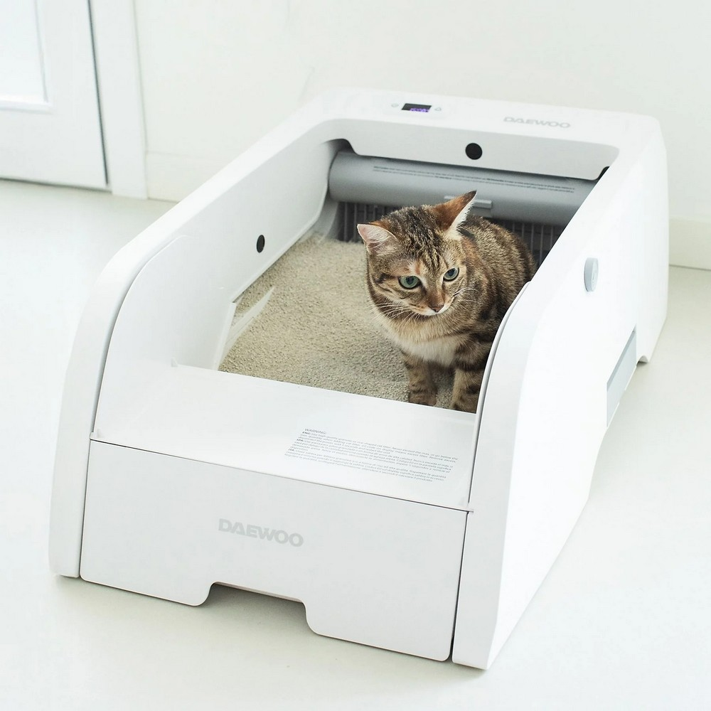 Eine getigerte Katze sitzt in einer weißen, automatischen Katzentoilette. Die Box steht in einem weißen Raum.