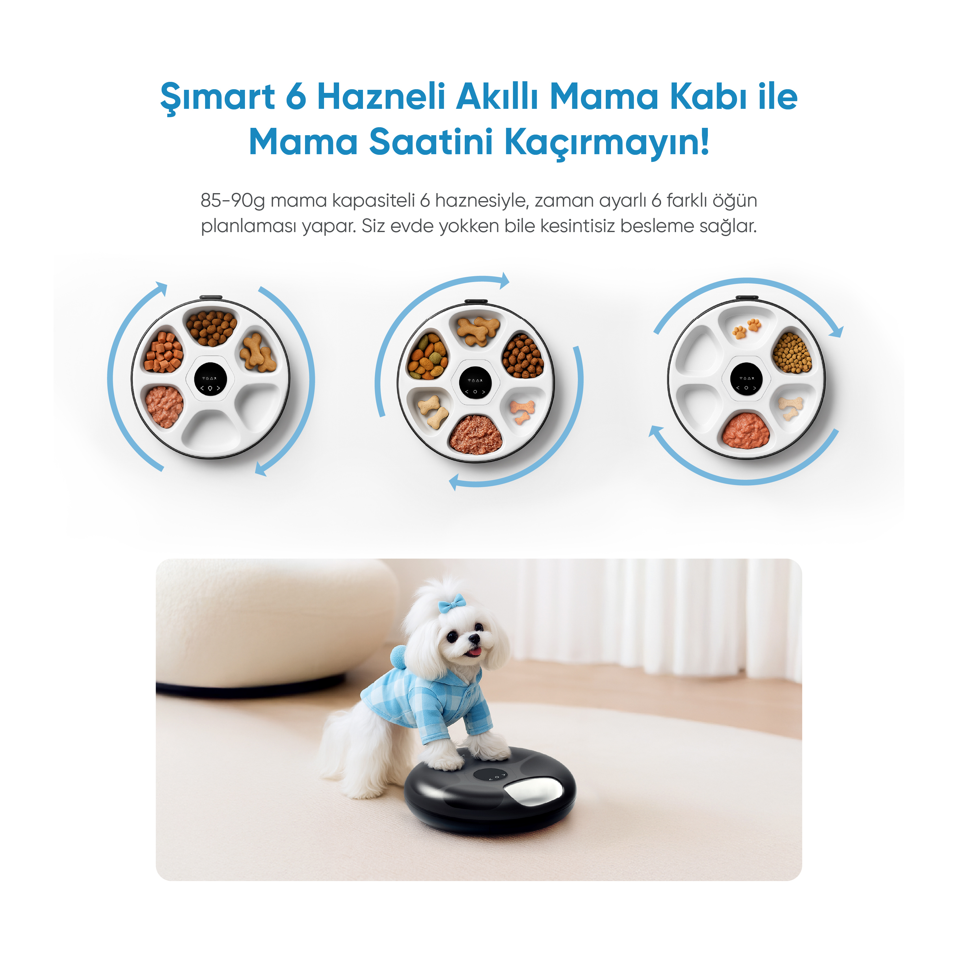 Mavi gömlekli beyaz bir köpek, siyah akıllı bir mama kabının üzerinde duruyor. Mama kabının 6 bölmesi var.