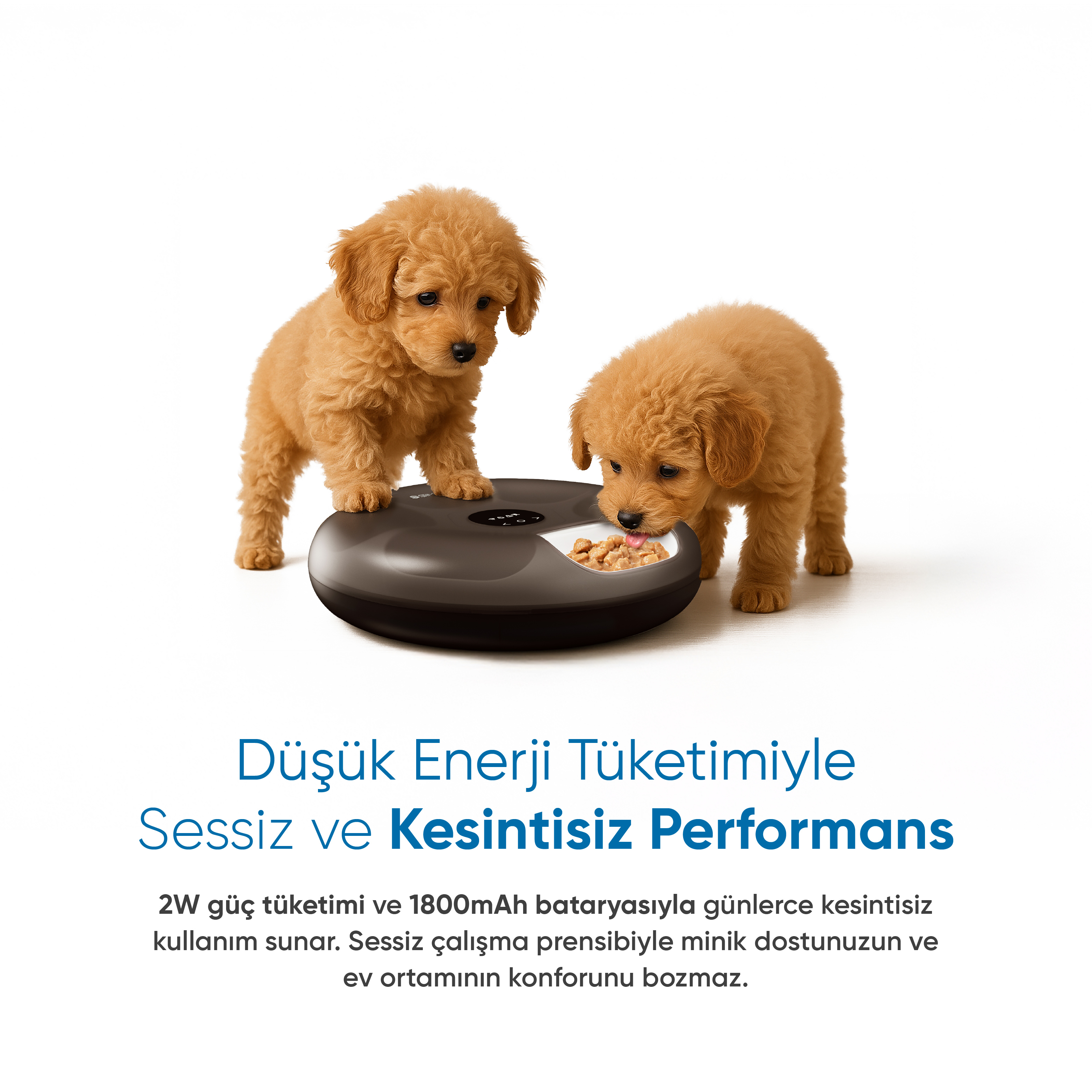 Siyah bir mama kabının yanında iki kahverengi yavru köpek. Aşağıdaki metin 'Düşük Enerji Tüketimi, Sessiz Performans' diyor.