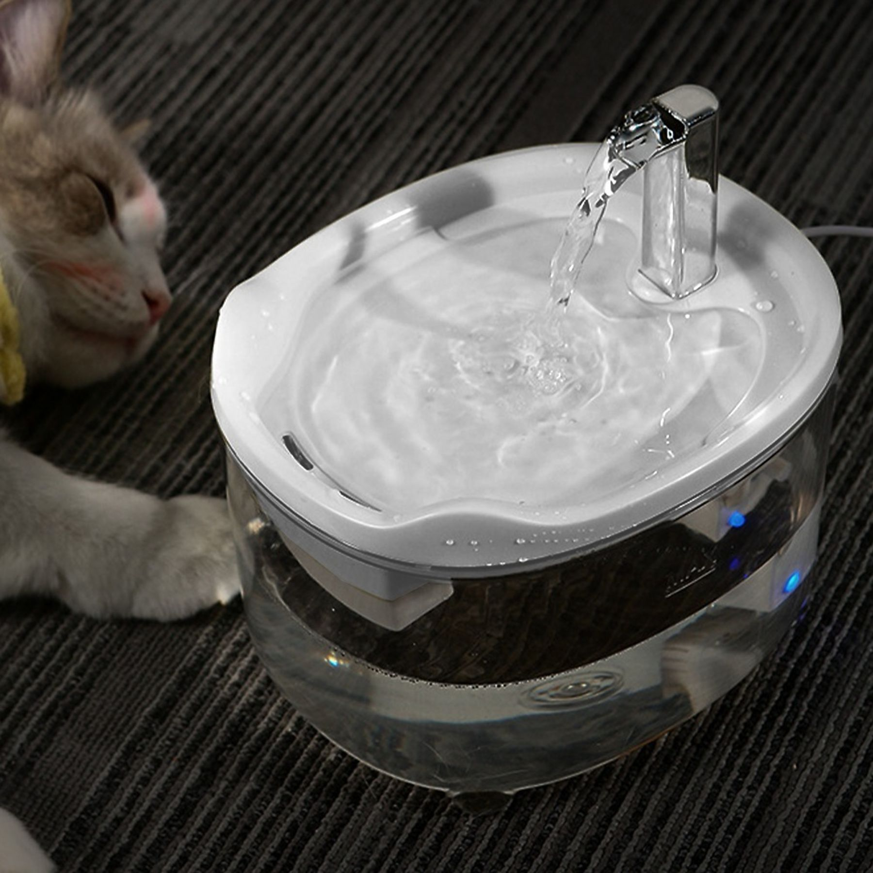 Eine Katze ruht sich in der Nähe eines Wasserbrunnens aus. Der Brunnen hat fließendes Wasser. Die Katze ist weiß und grau.