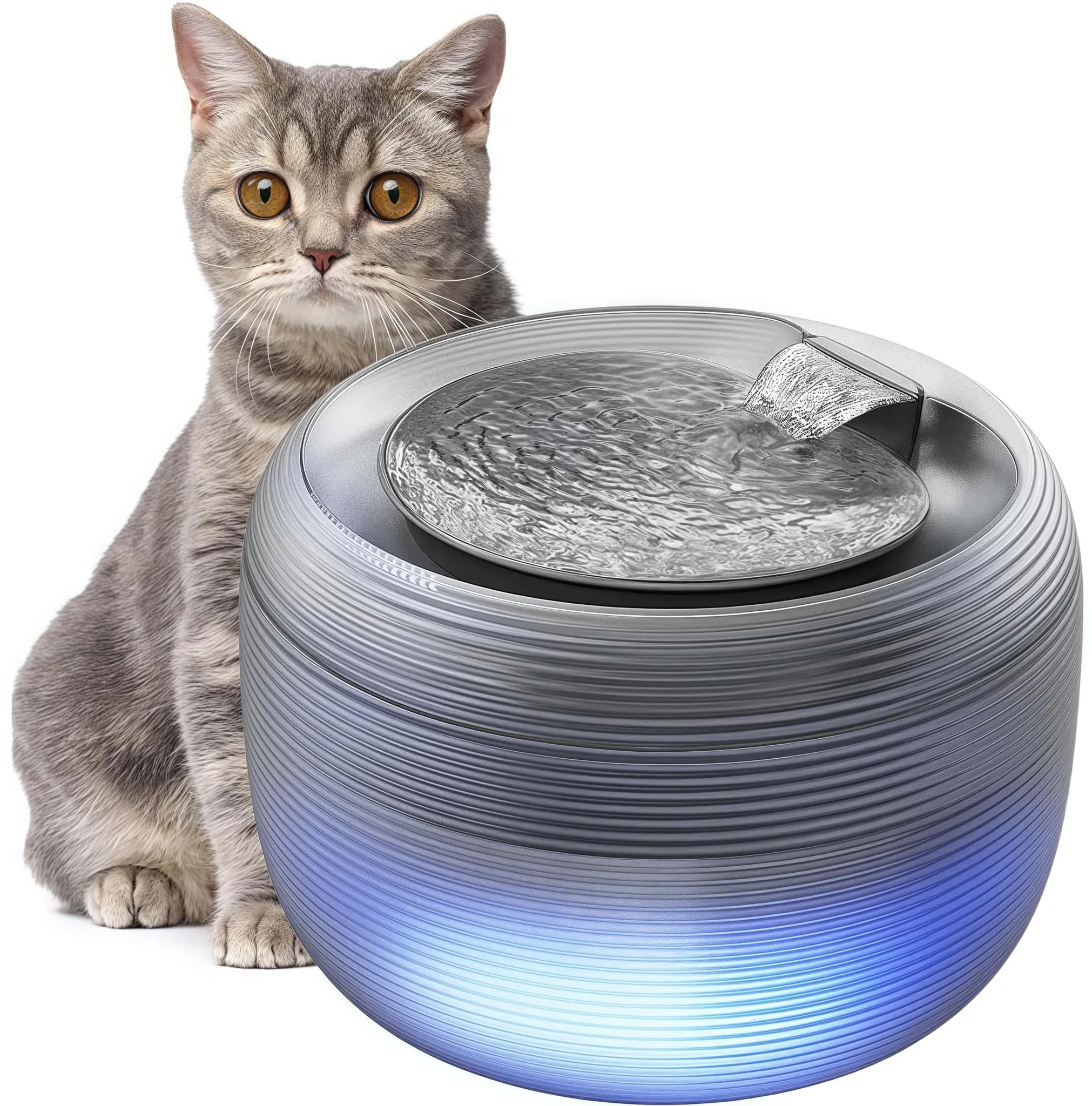 Eine graue Katze sitzt neben einem Wasserbrunnen. Der Brunnen ist silberfarben und hat blaues Licht.