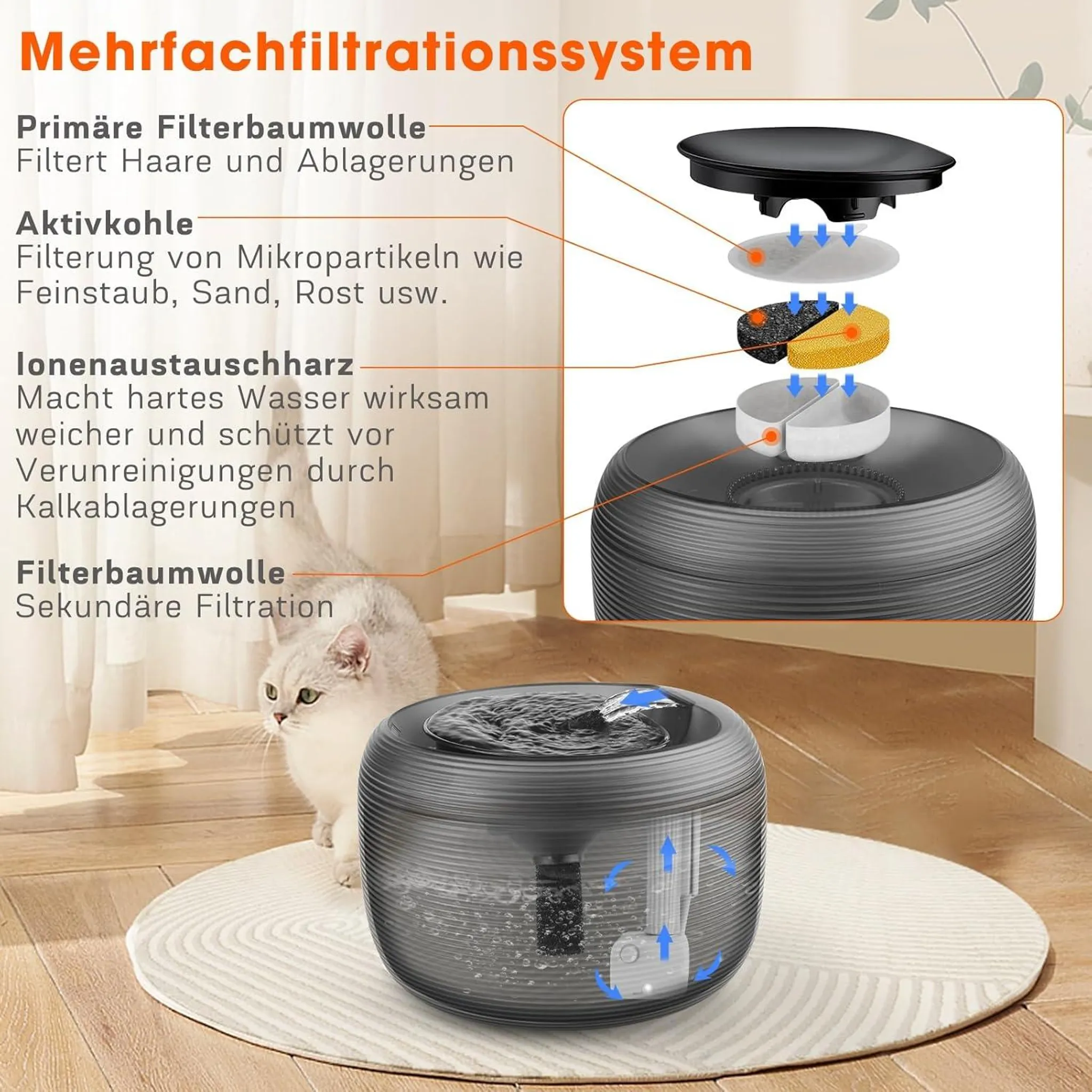 Ein Wasserbrunnen mit Filterschichten, eine Katze und ein Diagramm, das den Filterprozess zeigt.