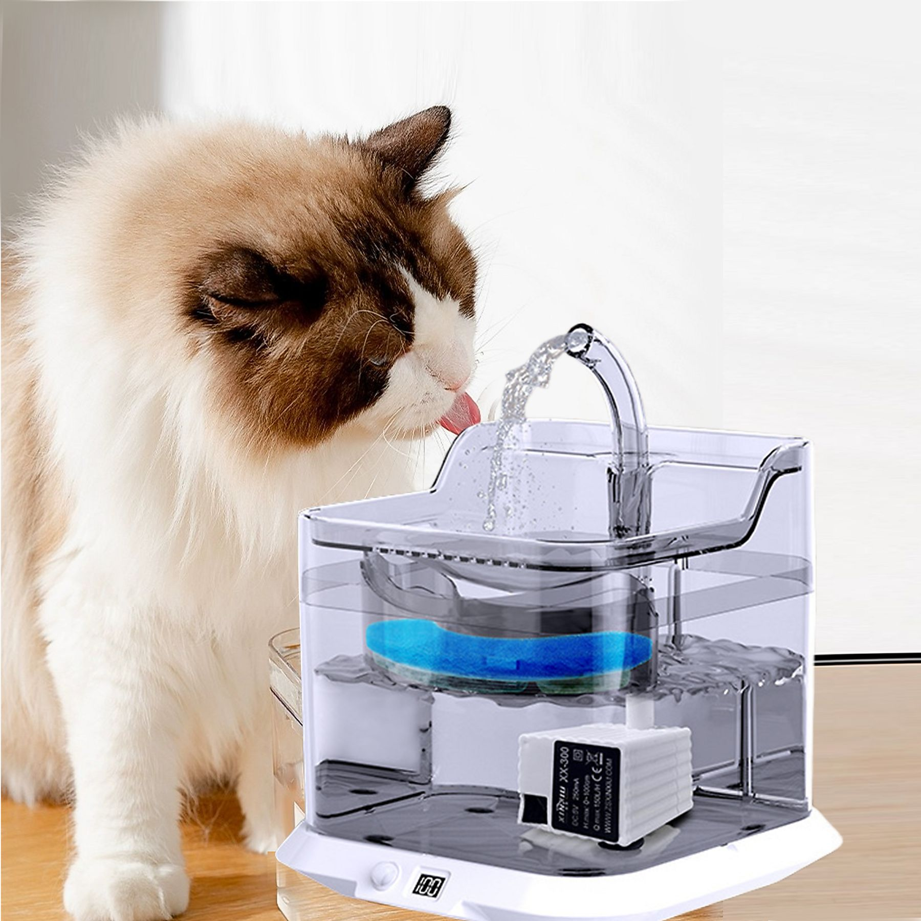 Eine Katze trinkt aus einem Wasserbrunnen. Der Brunnen ist transparent mit einem blauen Filter. Die Katze ist braun und weiß.