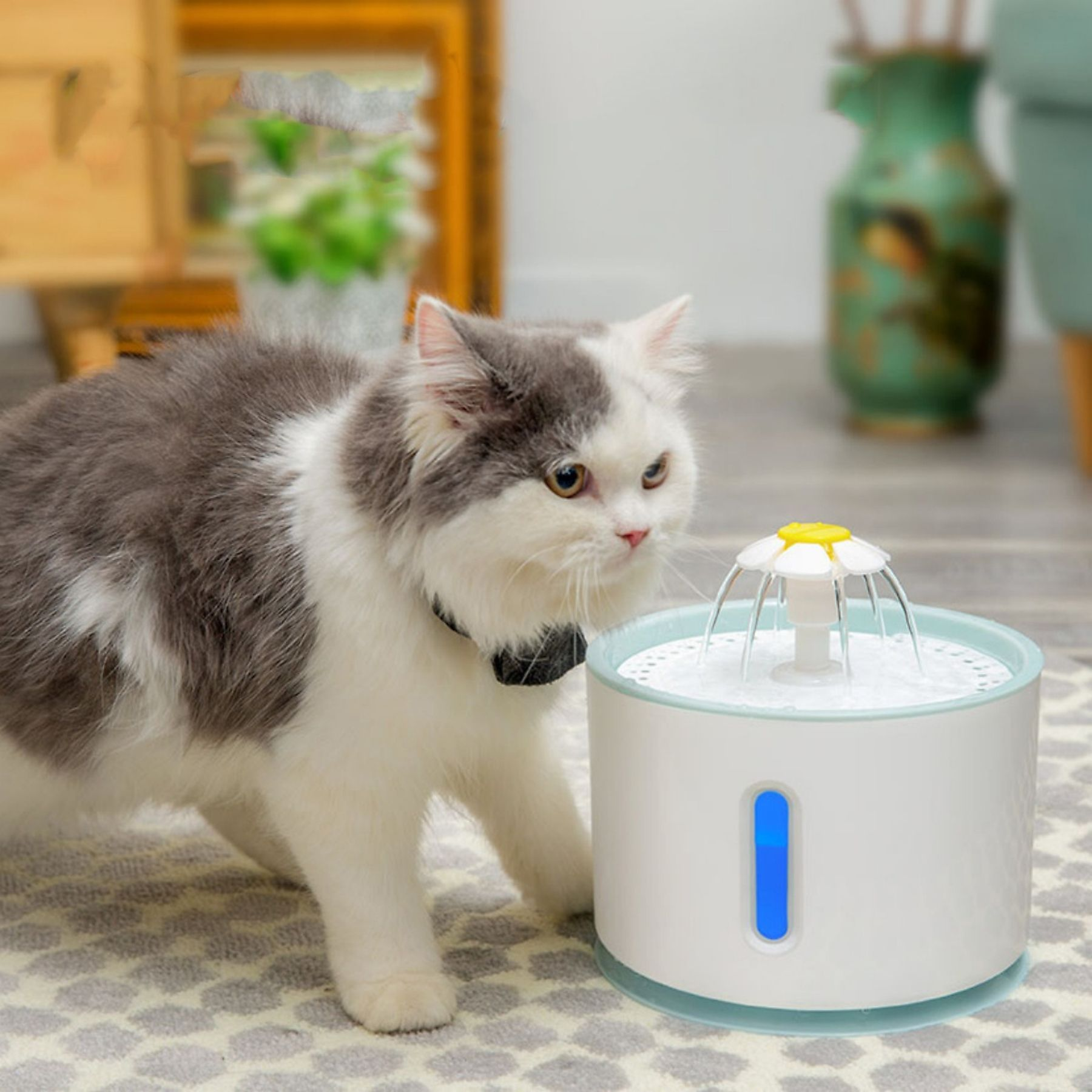Eine flauschige Katze mit grau-weißem Fell betrachtet einen Wasserbrunnen mit blütenförmigem Auslauf.