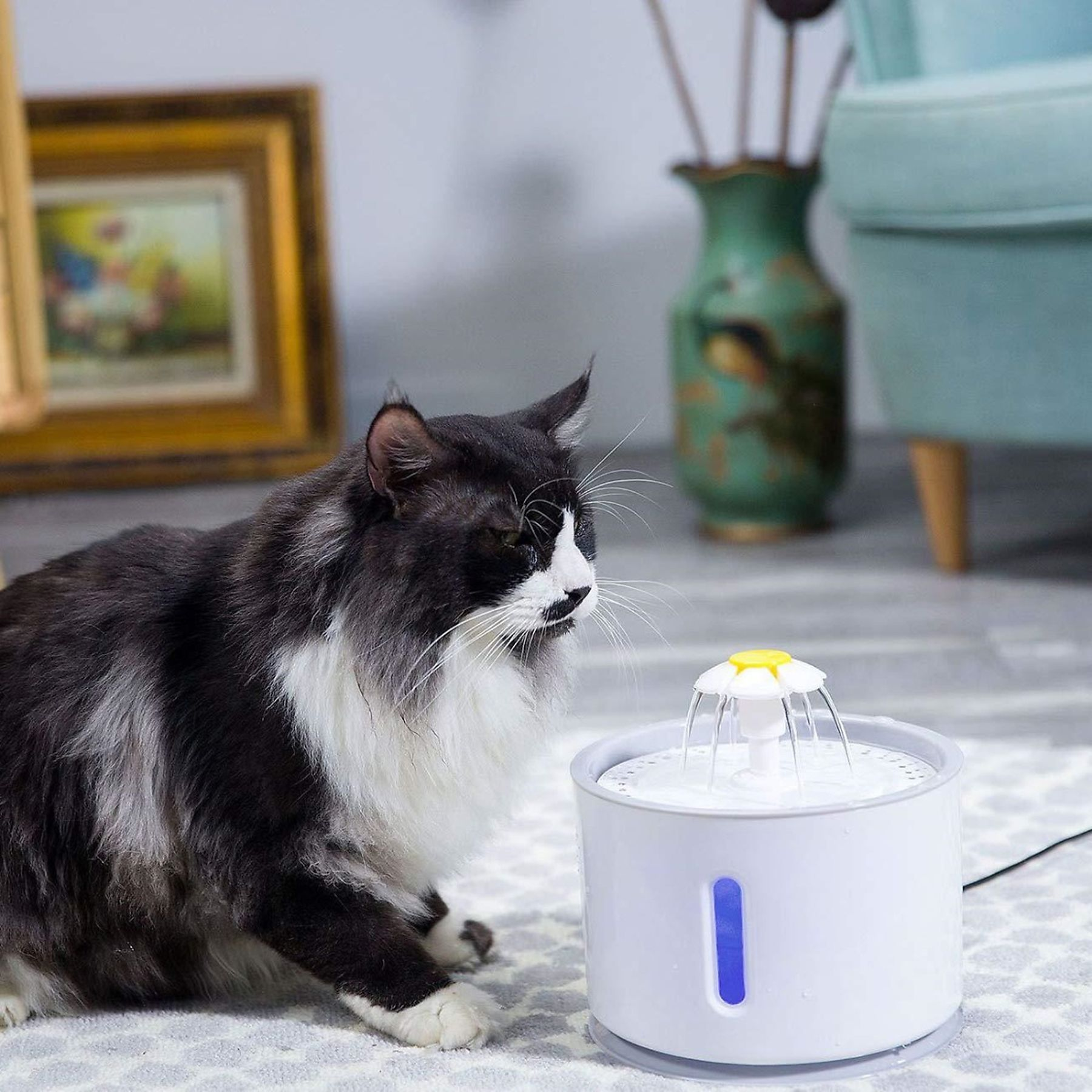 Eine schwarz-weiße Katze betrachtet einen weißen Katzenwasserbrunnen. Eine Vase und ein Stuhl sind im Hintergrund.