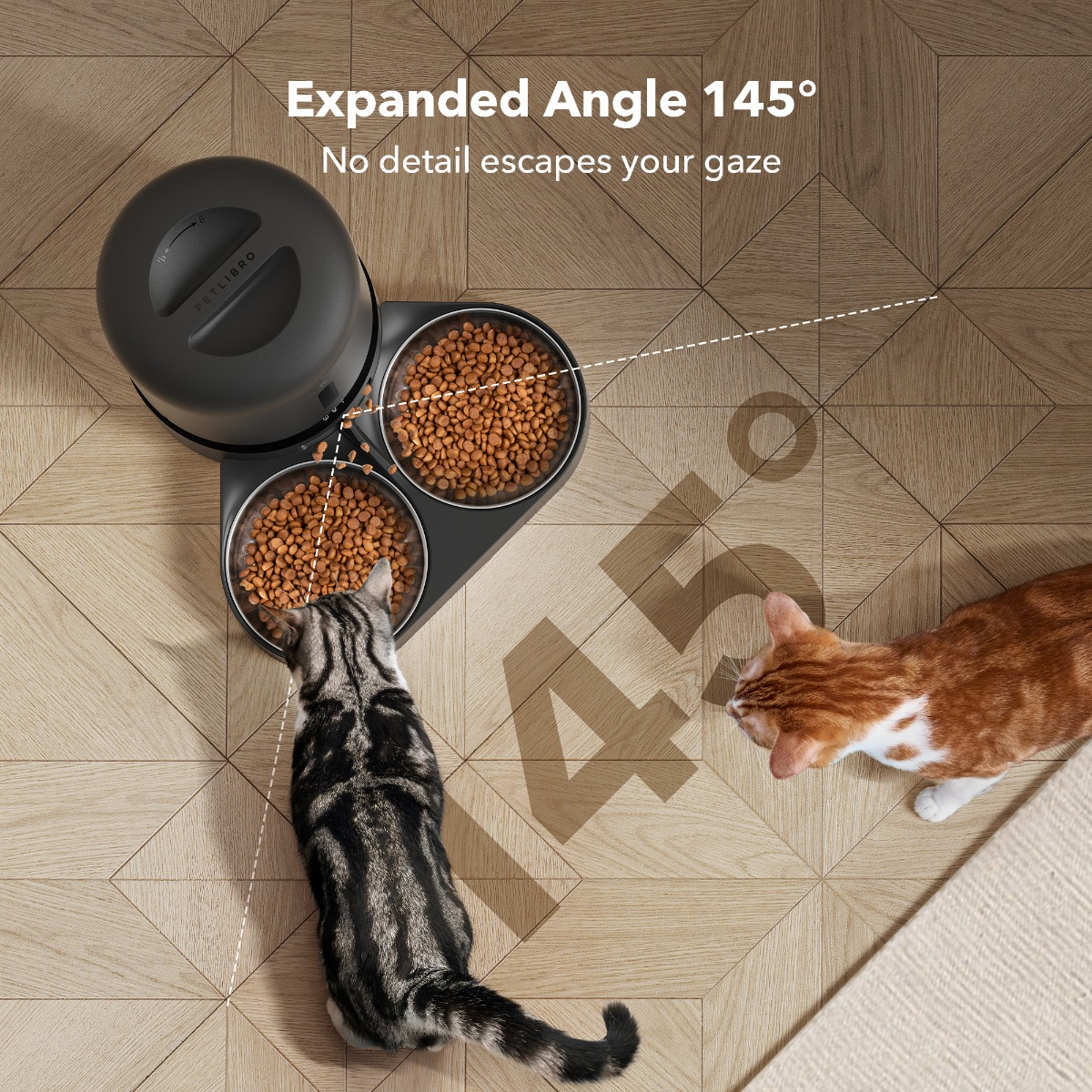 Zwei Katzen fressen aus einem schwarzen, automatischen Futterautomaten auf einem Holzboden. Eine Katze ist grau, die andere orange-weiß.
