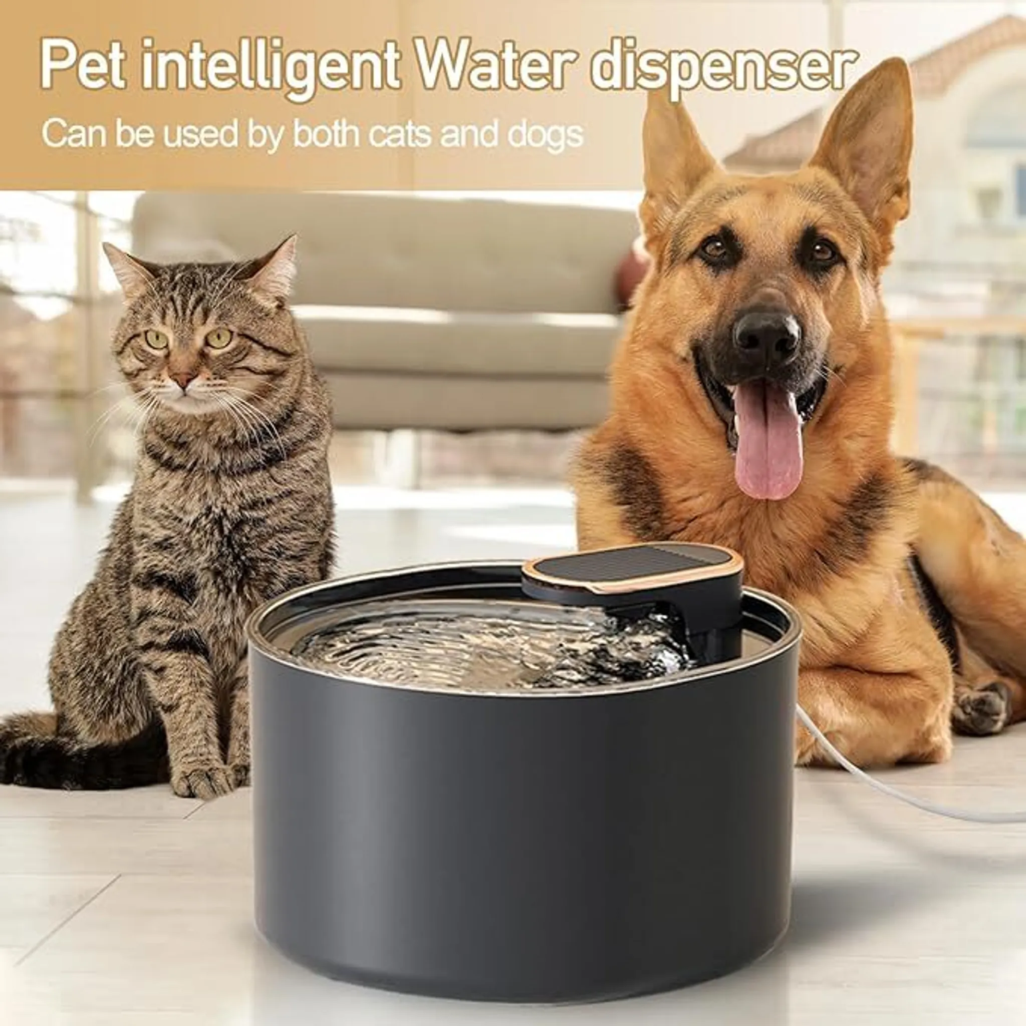 Katze und Hund in der Nähe eines Wasserspenders. Der Hund ist braun und schwarz. Die Katze ist grau und schwarz. Wasserspender ist schwarz.