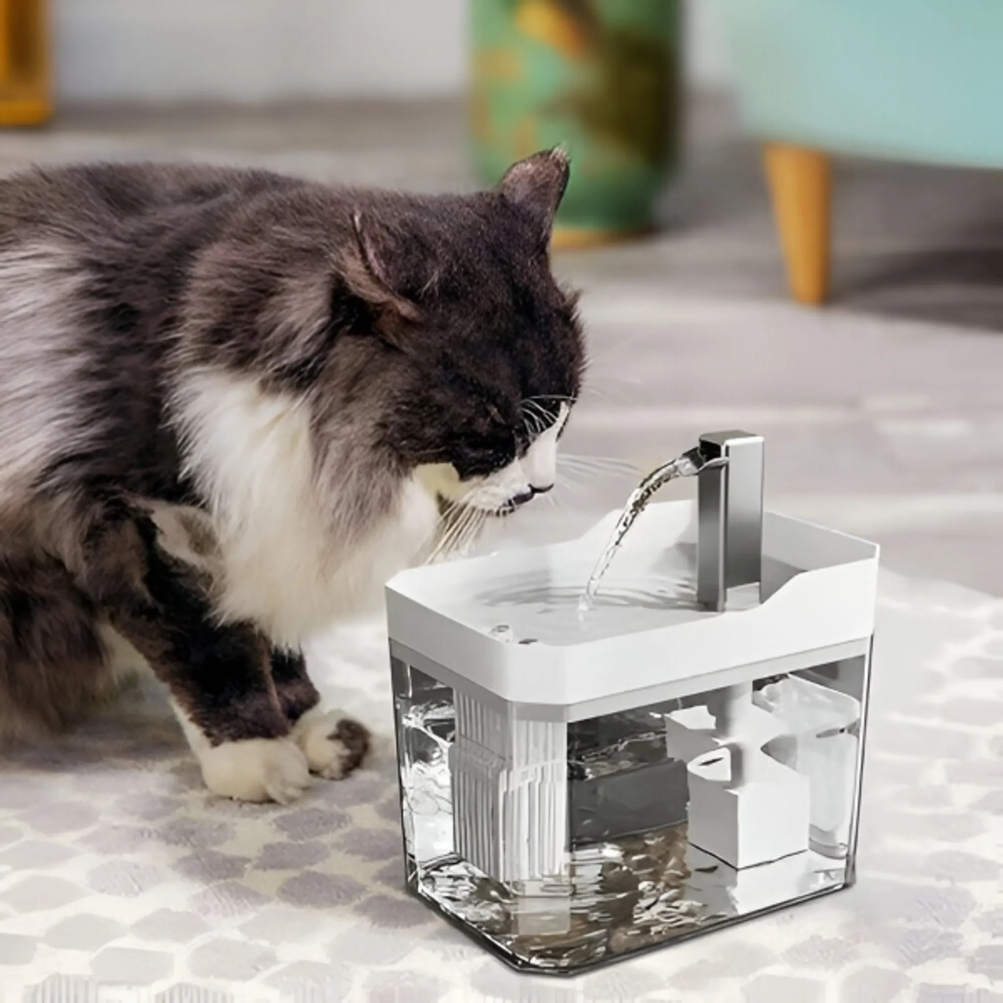 Eine Katze trinkt aus einem weißen Haustier-Wasserbrunnen. Die Katze hat schwarz-weißes Fell, das Wasser fließt.