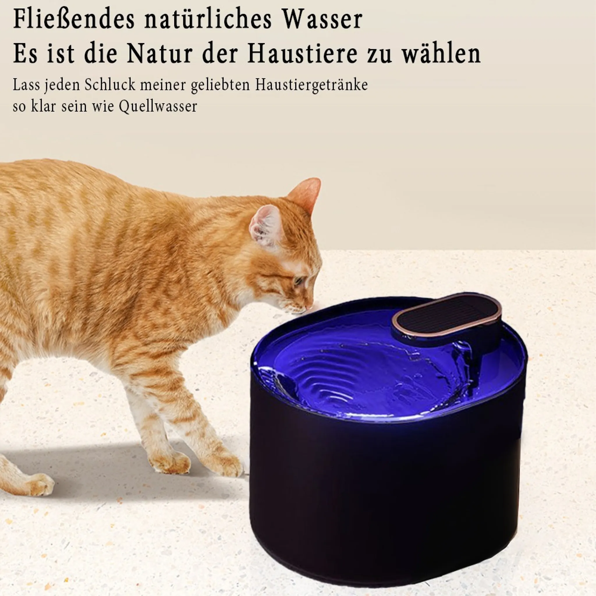 Eine orange Katze betrachtet einen blauen Wasserbrunnen. Text auf Deutsch steht darüber.