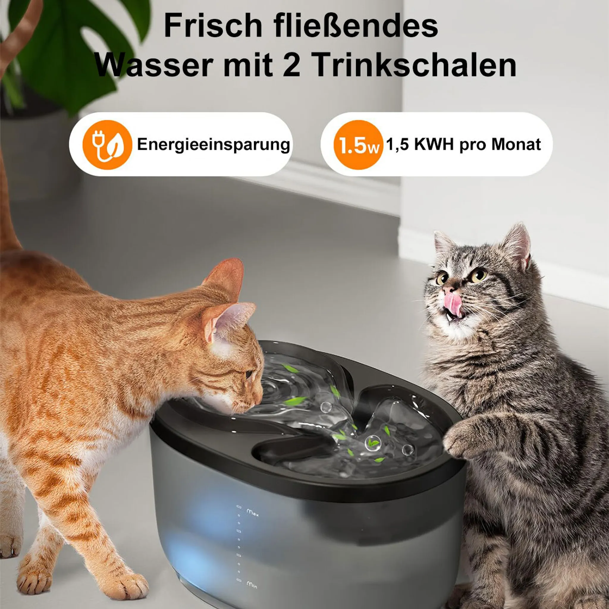 Zwei Katzen trinken aus einem Wasserbrunnen. Eine ist orange, die andere grau. Text oben lautet: 'Frisch fließendes Wasser'.