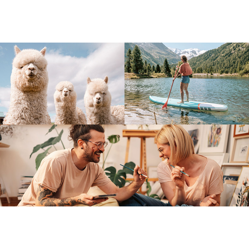 Das Bild zeigt vier Szenen: Alpakas, eine Frau beim Stand-Up-Paddling und ein malendes Paar. Berge und ein See sind zu sehen.