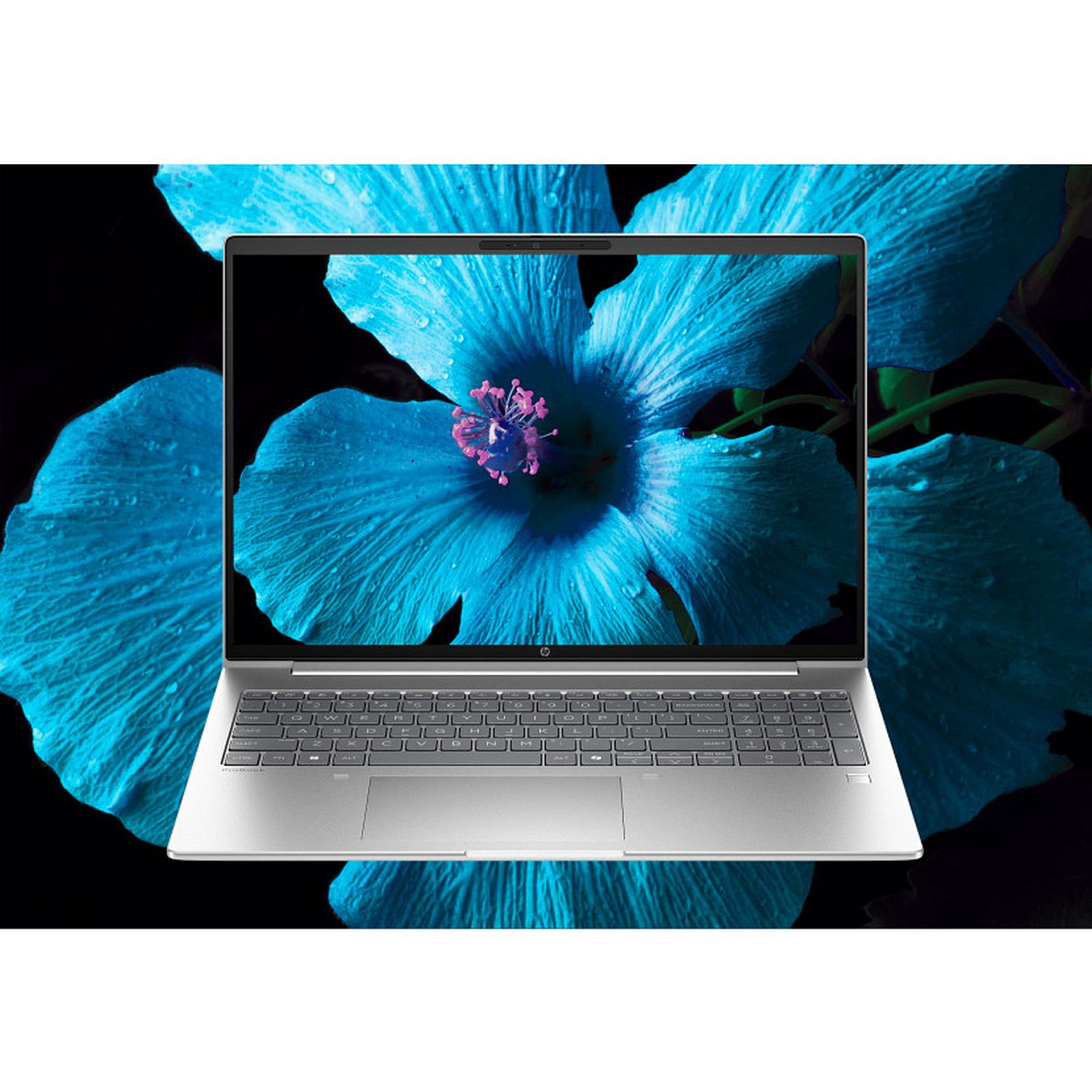 Il laptop mostra un grande fiore blu con centro rosa. Lo sfondo è nero con petali blu.
