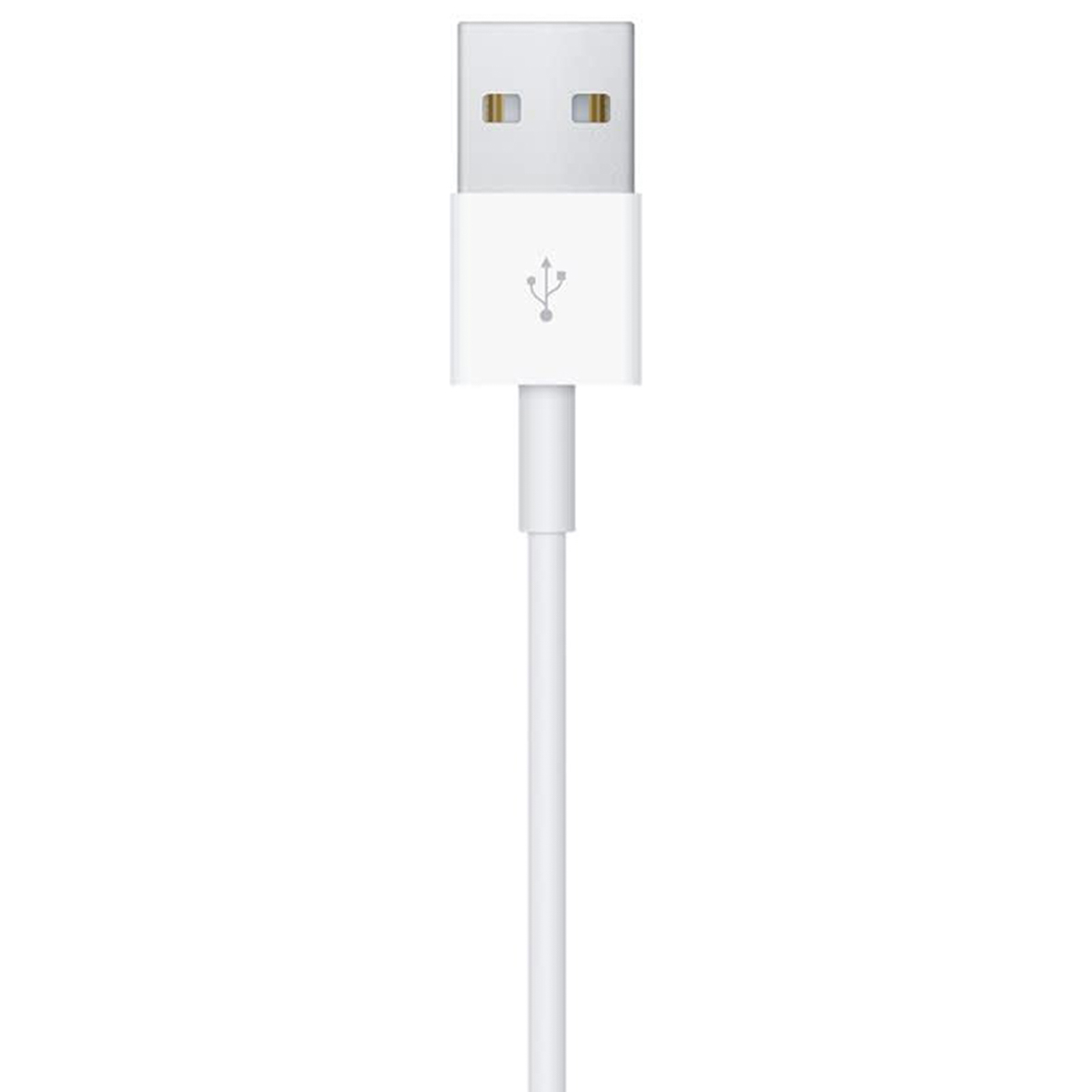 Un câble USB blanc sur fond blanc. Le câble a un connecteur USB en haut et un câble qui s'étend vers le bas.