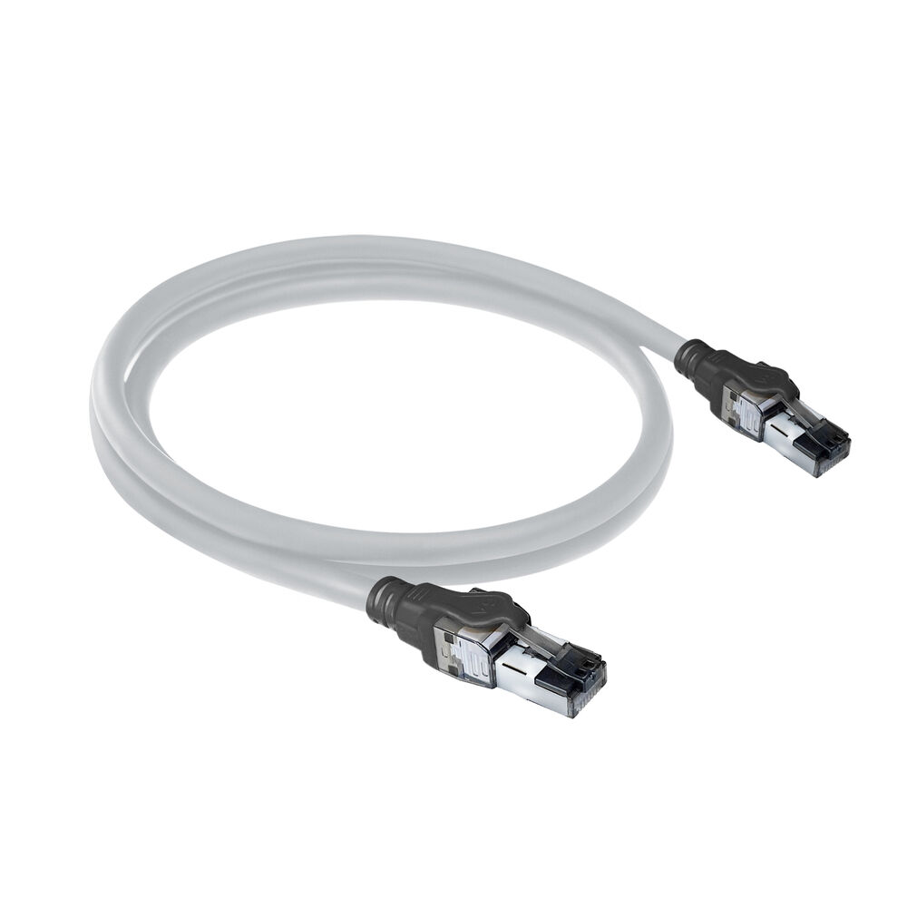 Un cavo Ethernet grigio, curvo ad anello. Due connettori RJ45 con alloggiamenti neri e argentati sono a ciascuna estremità del cavo.