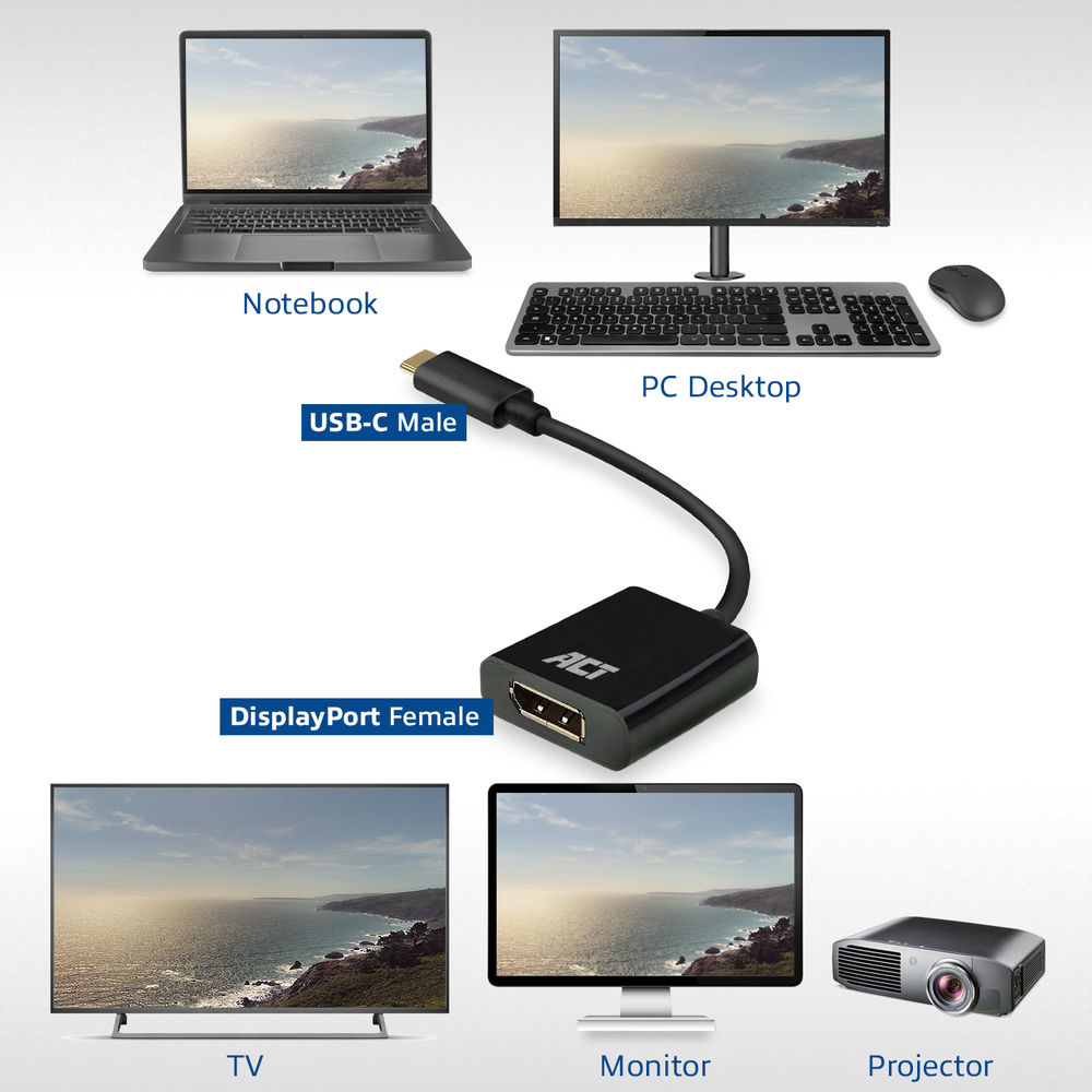 Das Bild zeigt einen Laptop, einen PC-Desktop, einen USB-C-Adapter, einen Fernseher, einen Monitor und einen Projektor. Alle zeigen eine Küstenlandschaft.