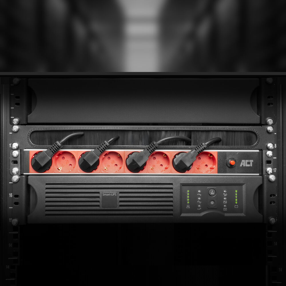 A rack with power outlets and a UPS. Red outlets with black plugs are connected. A Smart-UPS device is below the outlets.