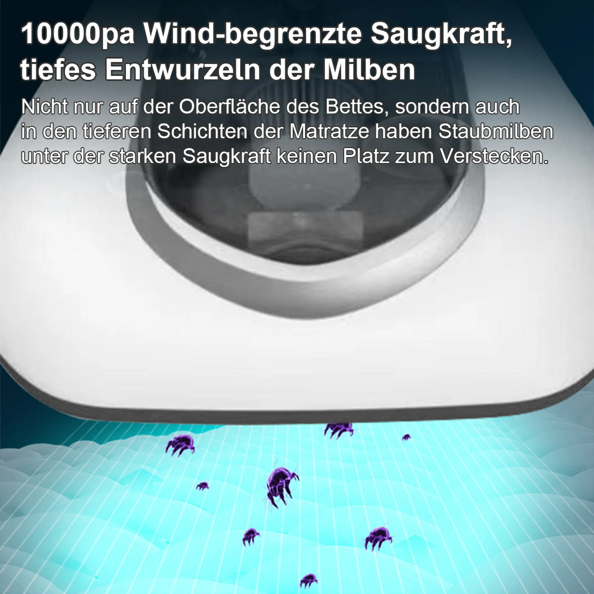 Illustration zeigt Staubsauger mit Text über Hausstaubmilben. Lila Milben sind auf blauer Oberfläche.