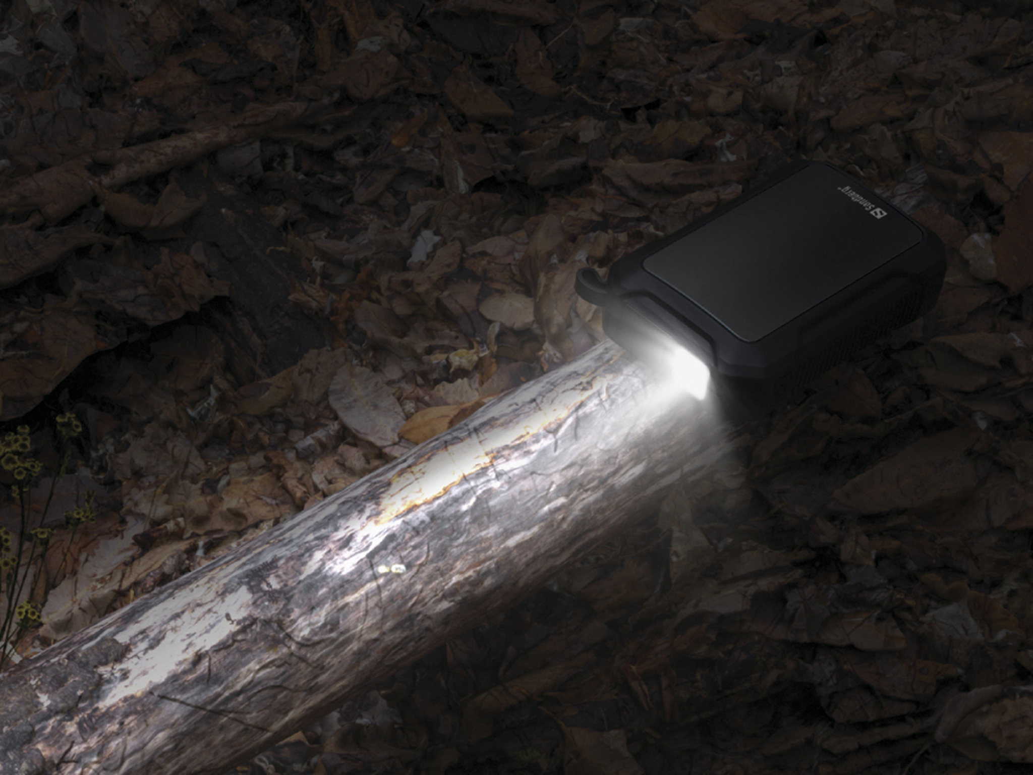 Een zaklamp verlicht een boomstam in een donker bos. Bruine bladeren en bodembedekking omringen de boomstam. De zaklamp is zwart.