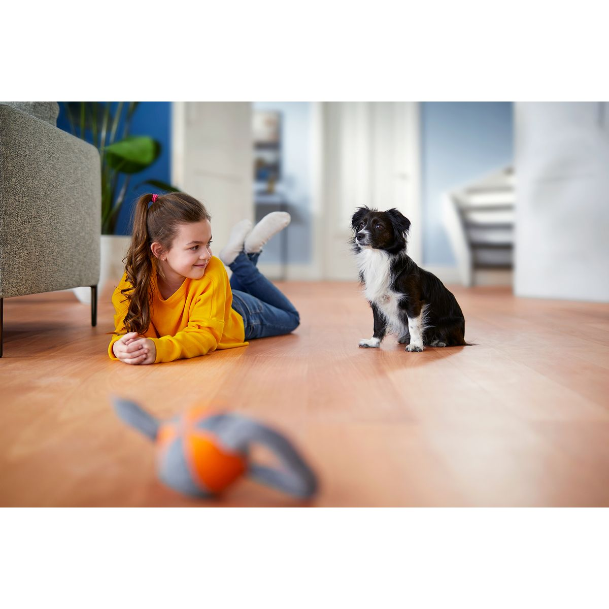 Dziewczyna w żółtej koszuli leży na podłodze i patrzy na czarno-białego psa. Zabawka jest na pierwszym planie.