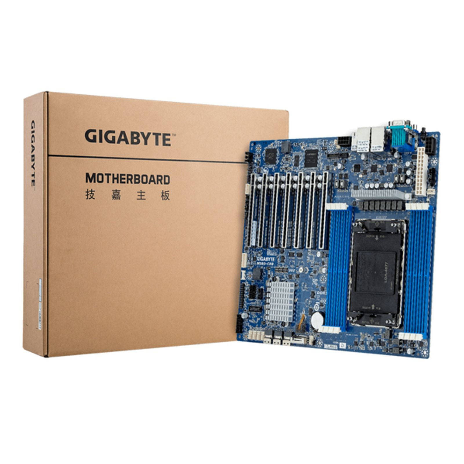 Una scheda madre Gigabyte accanto alla sua scatola, entrambe su sfondo bianco. La scatola dice 'Motherboard'.