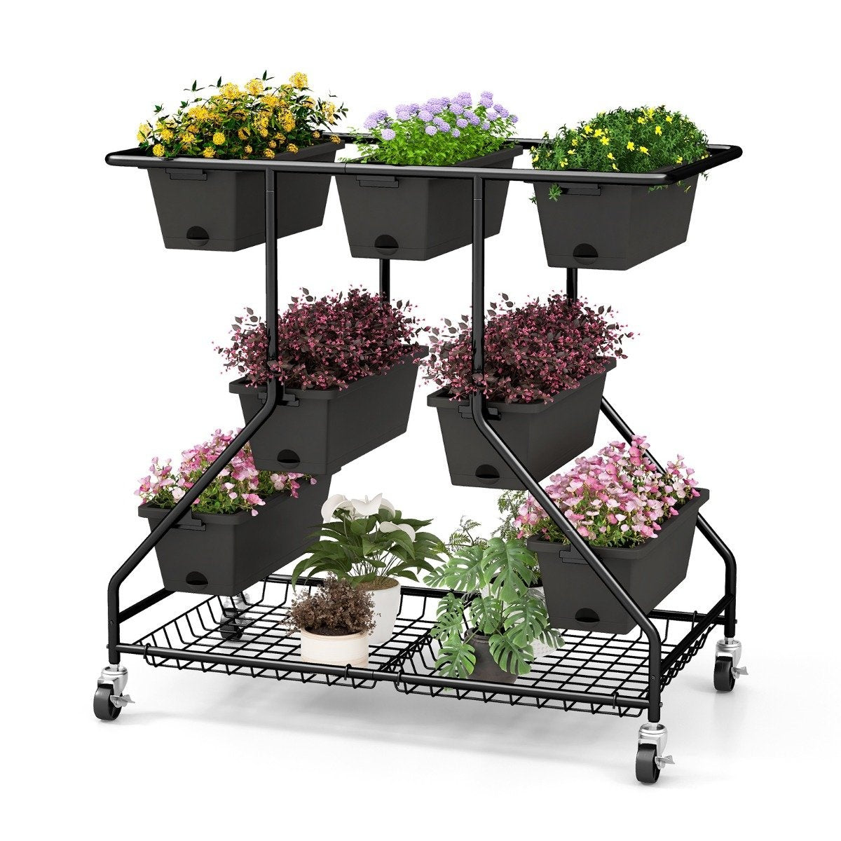 Un estante de metal negro escalonado para plantas con varias flores y plantas en macetas negras, sobre un fondo blanco.