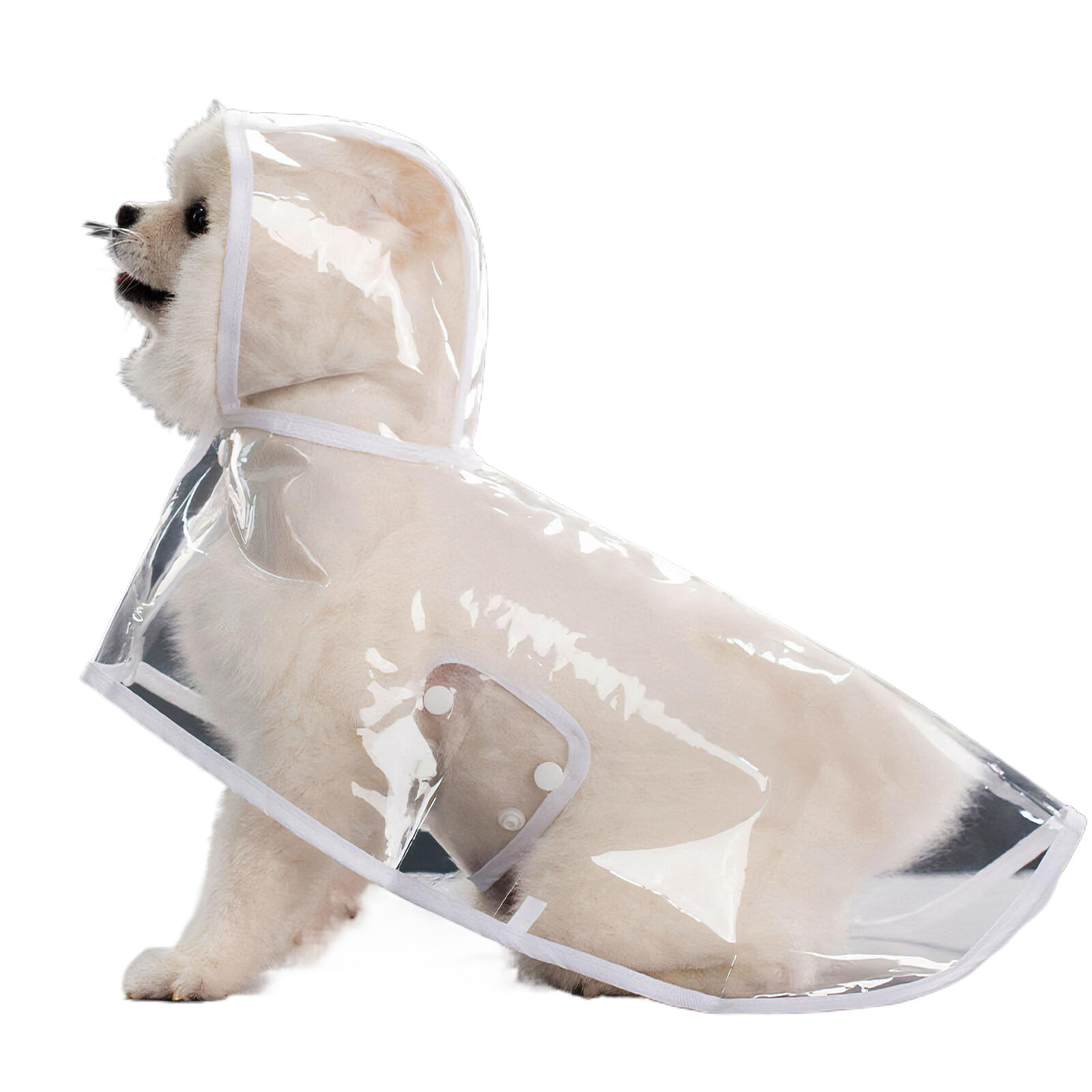 Ein weißer Hund trägt einen durchsichtigen Regenmantel mit Kapuze. Der Regenmantel hat weiße Verzierungen und Knopfverschlüsse.
