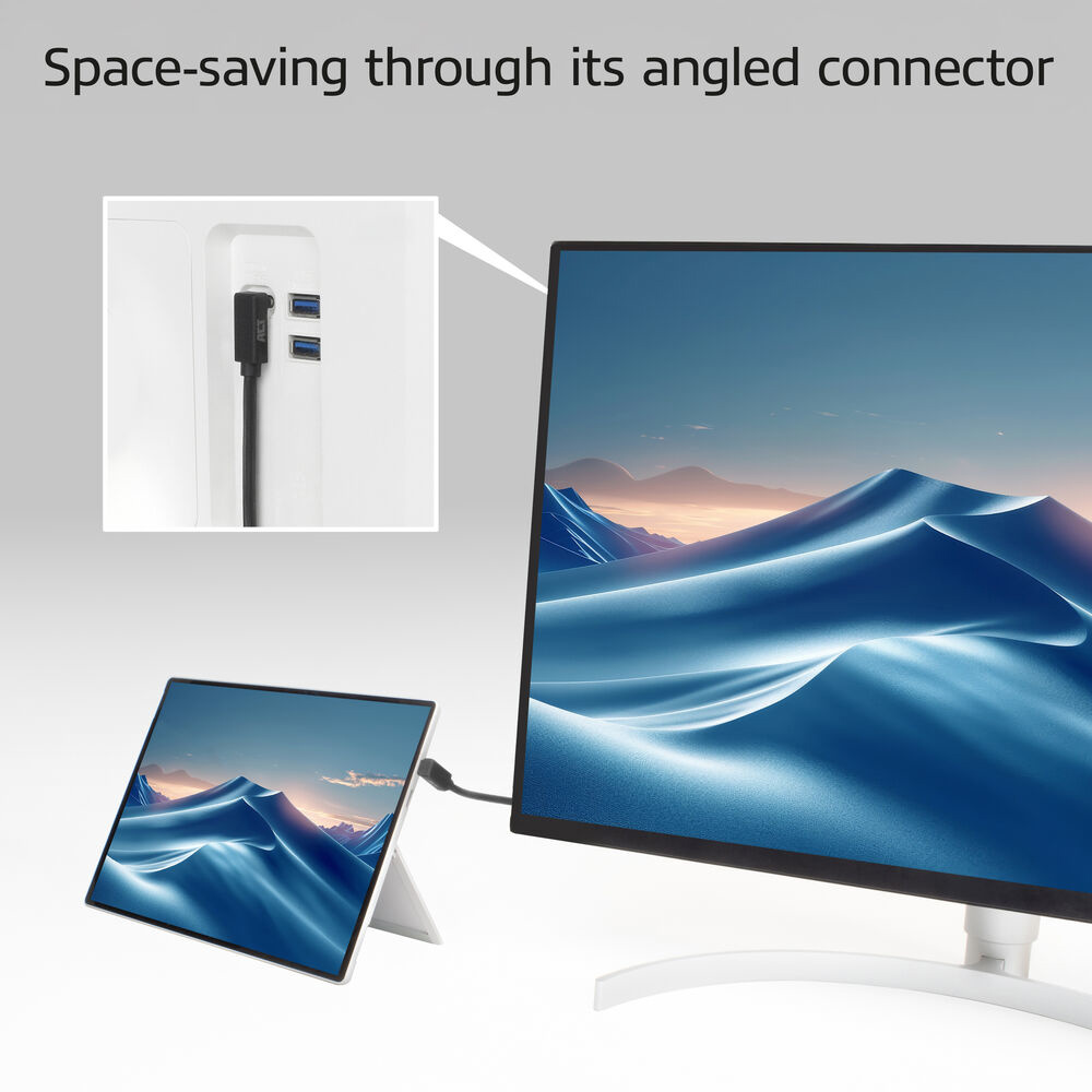 Een monitor en een tablet met een woestijnlandschap op hun schermen. Een haakse connector is aangesloten. Witte achtergrond.