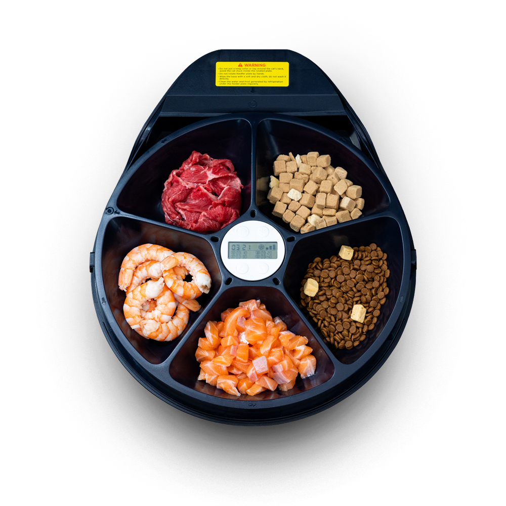Automatyczny karmnik dla zwierząt z przegródkami na surowe mięso, karmę, krewetki, łososia i suchą karmę oraz cyfrowy timer.