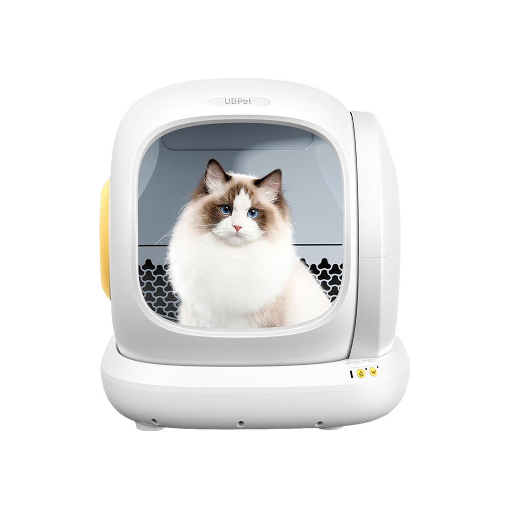 Un soffice gatto Ragdoll con occhi blu siede in una lettiera automatica bianca.