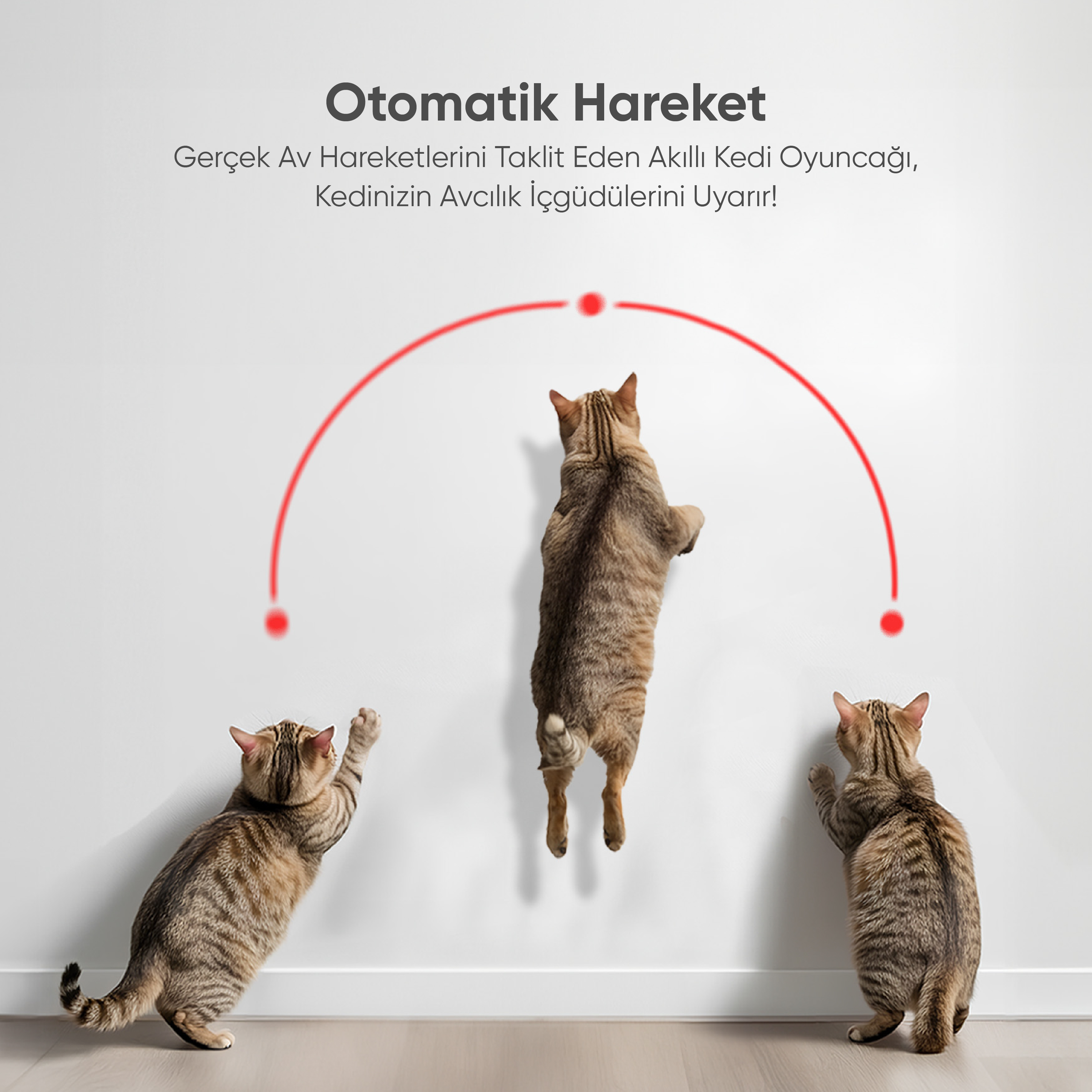 Zıplayan üç kedi. Üzerlerinde kırmızı bir yay. Metin: Otomatik Hareket, Akıllı Kedi Oyuncağı.