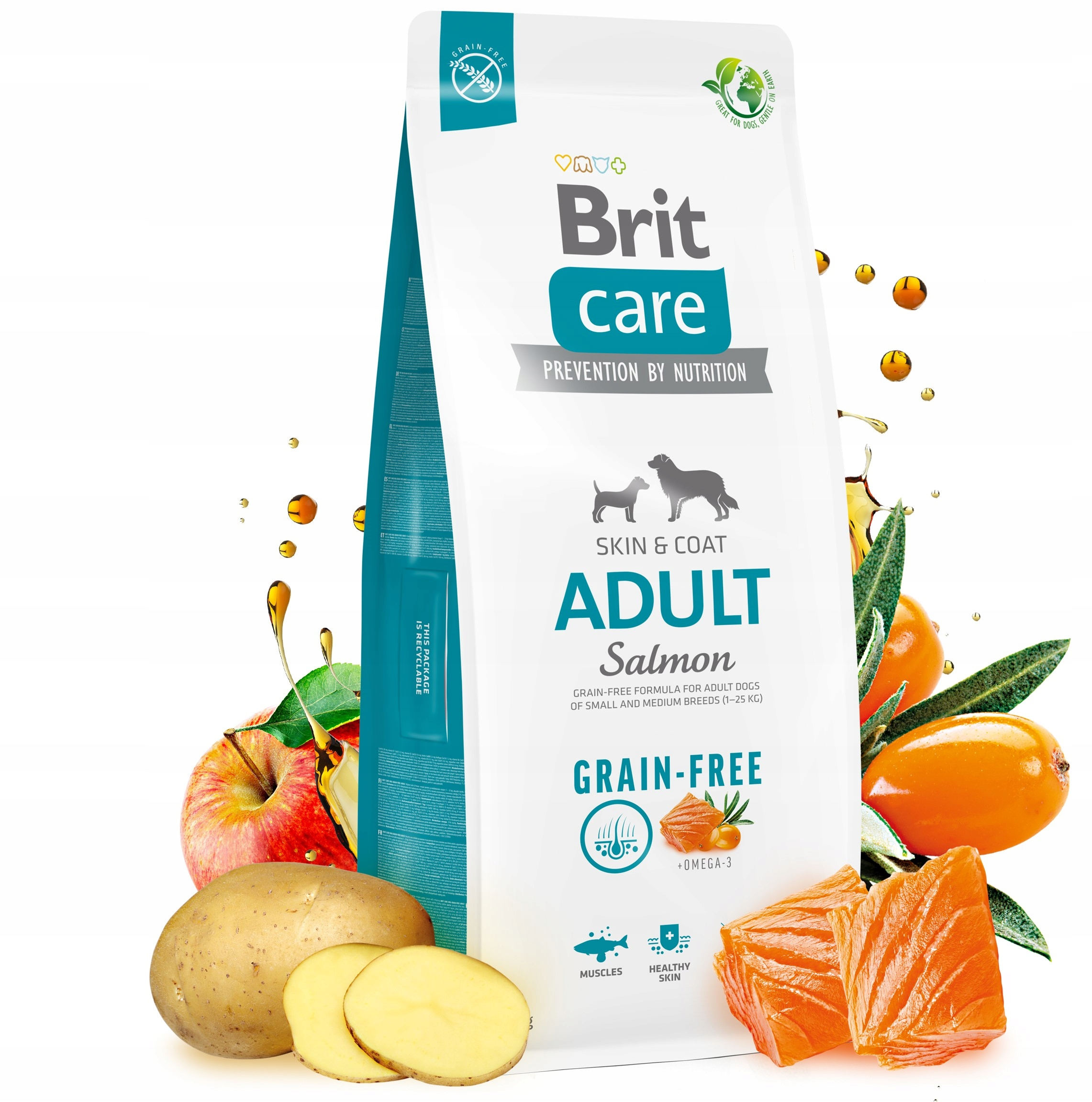 Torba z karmą dla psów z łososiem, jabłkiem i ziemniakami. Na torbie napis 'Brit Care' i 'Grain-Free'.