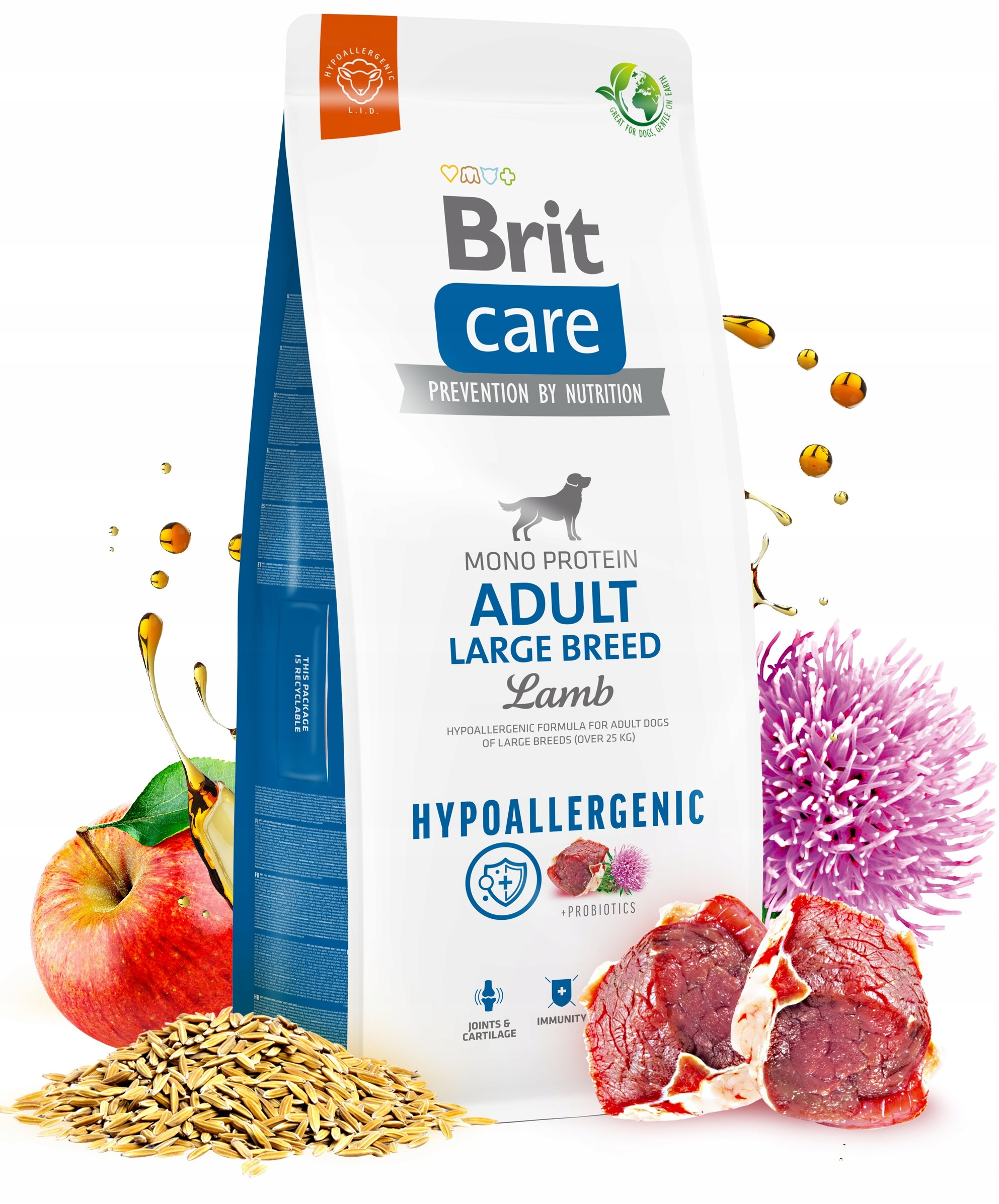 Torba z karmą dla psów z jagnięciną, jabłkiem, zbożem i fioletowym kwiatem. Krople oleju wokół torby. Białe tło.