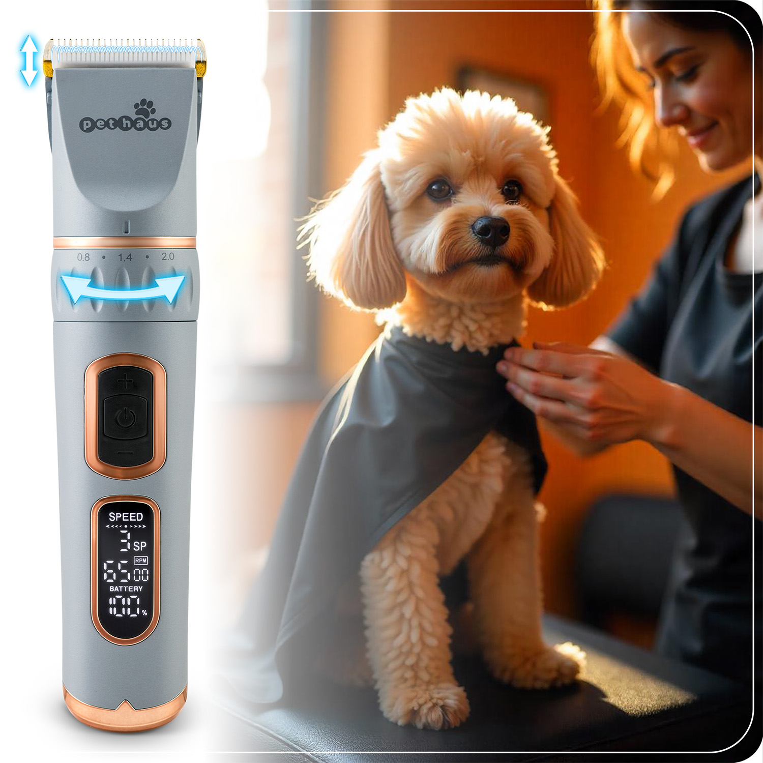 Pies jest pielęgnowany, nosi czarny płaszcz. Maszynka do strzyżenia jest po lewej stronie. Kobieta pielęgnuje psa.