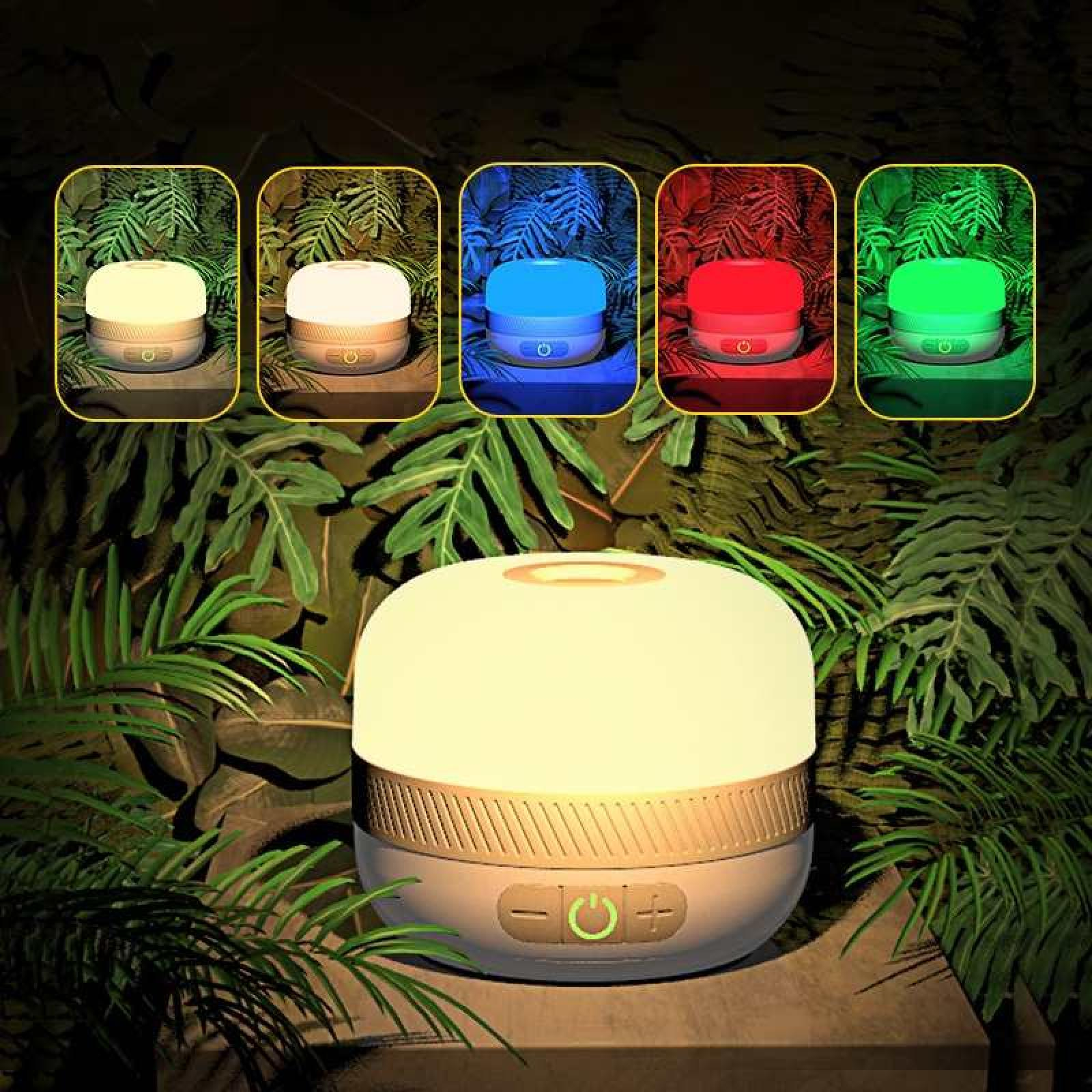 Eine runde Lampe mit mehreren Farboptionen steht auf einer Holzoberfläche, umgeben von grünen Blättern.