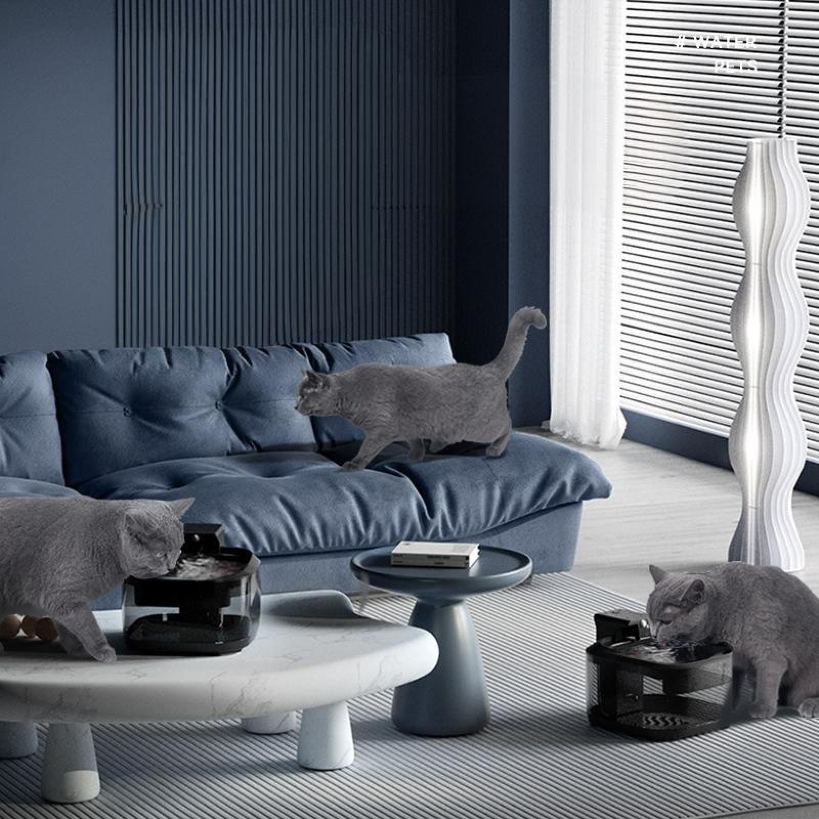 Drei graue Katzen in einem blauen Raum. Eine auf einem Sofa, zwei an Wasserfontänen. Möbel umfassen Tische und eine hohe, weiße Lampe.