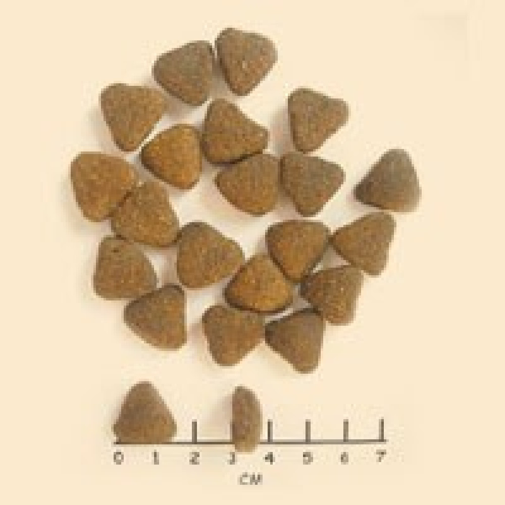 Obraz przedstawia brązowe, trójkątne krokiety dla zwierząt. Na dole linijka, oznaczona w CM. Krokiety są rozrzucone na kremowym tle.