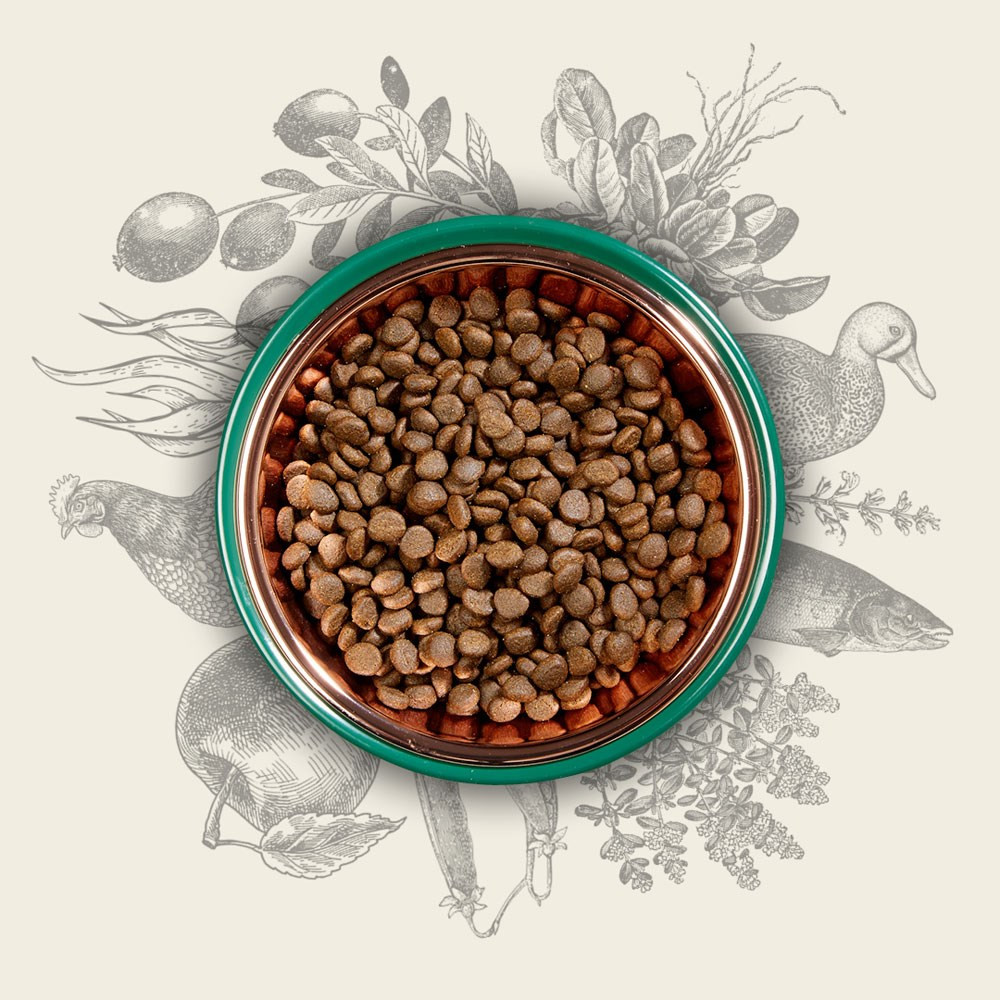 Miska karmy dla zwierząt otoczona szkicami kurczaka, kaczki, ryby i roślin na beżowym tle.