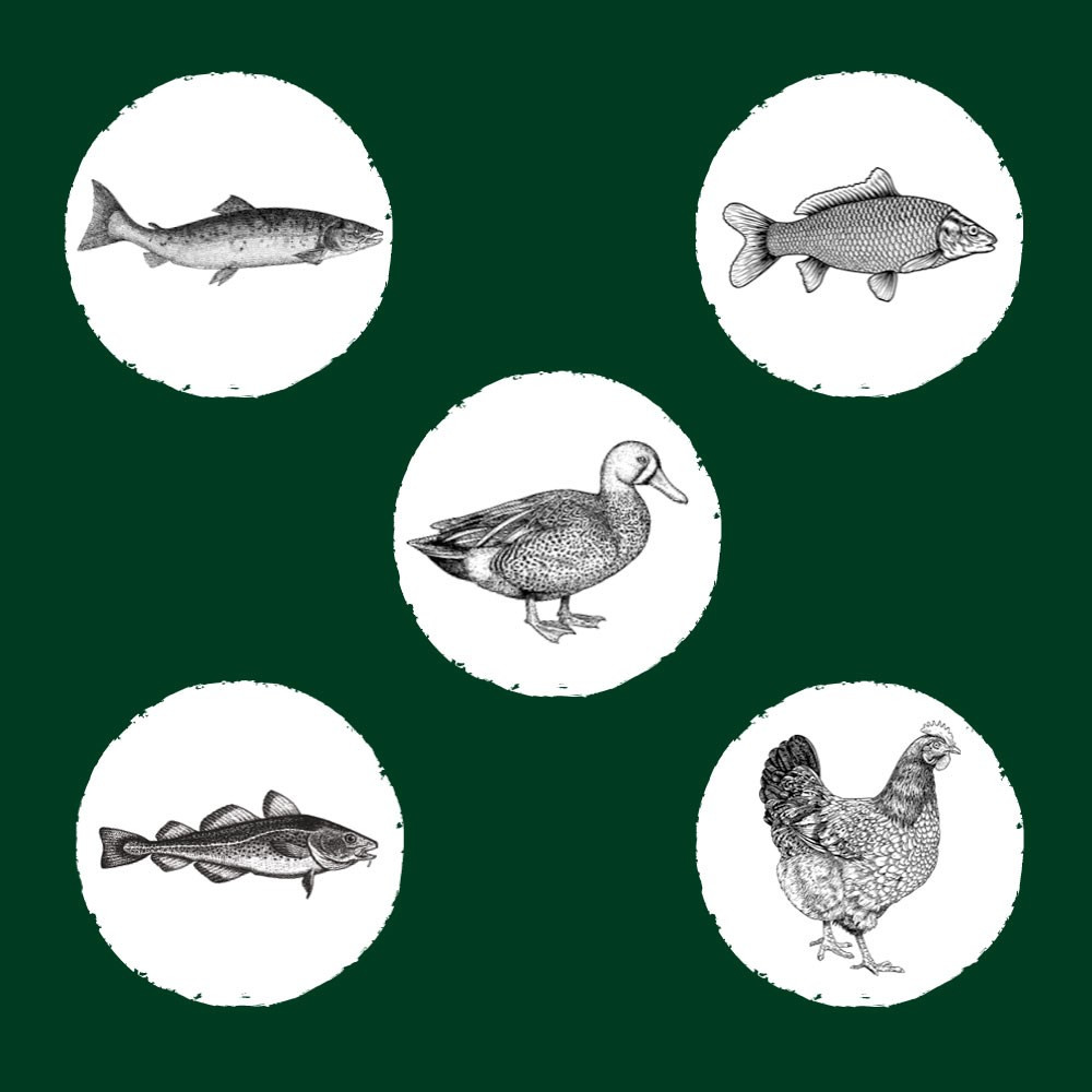 Ilustracja ryb, kaczki i kurczaka w białych okręgach na zielonym tle. Styl jest szczegółowy, przypomina grawiury.