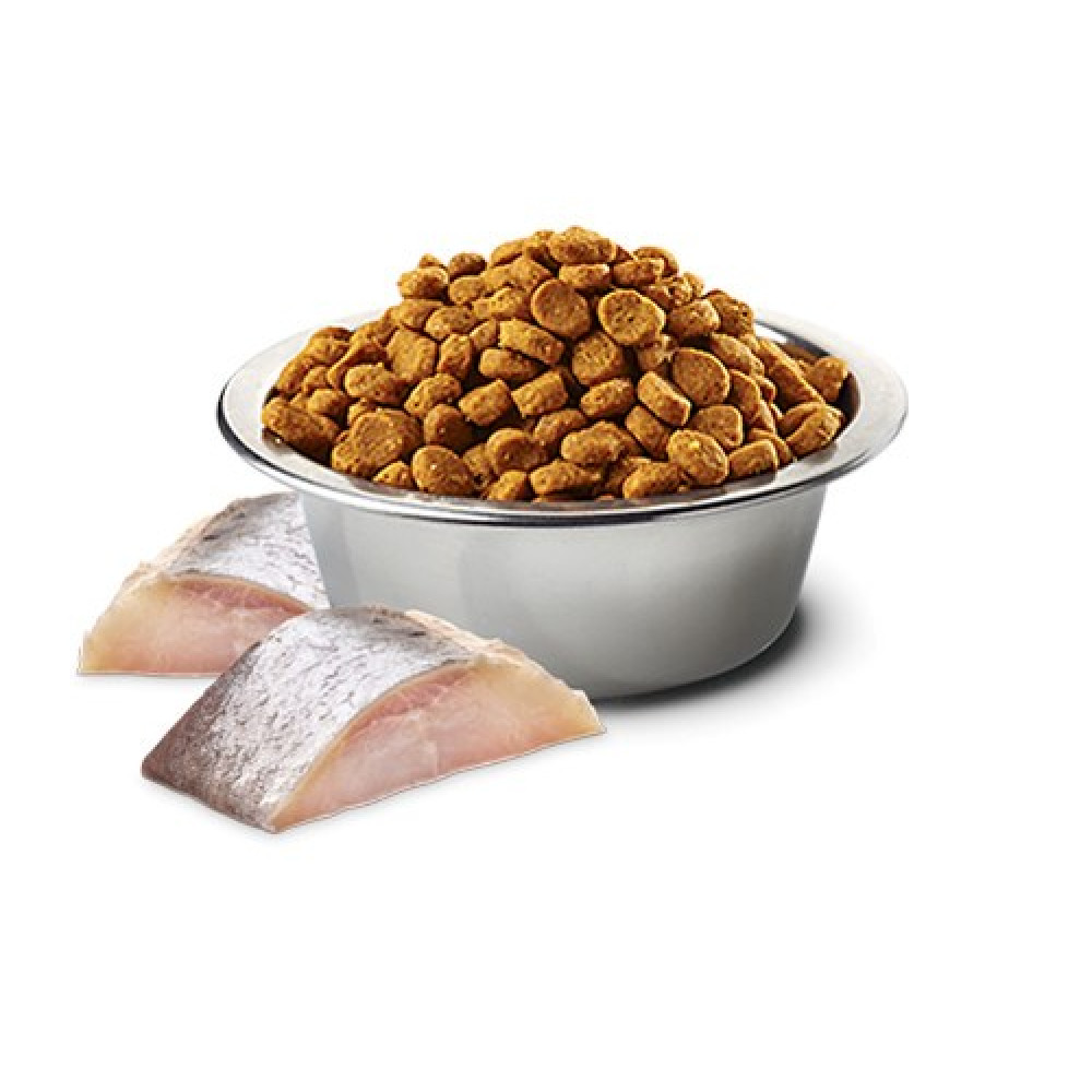 Un cuenco de metal lleno de croquetas marrones y dos filetes de pescado sobre un fondo blanco.